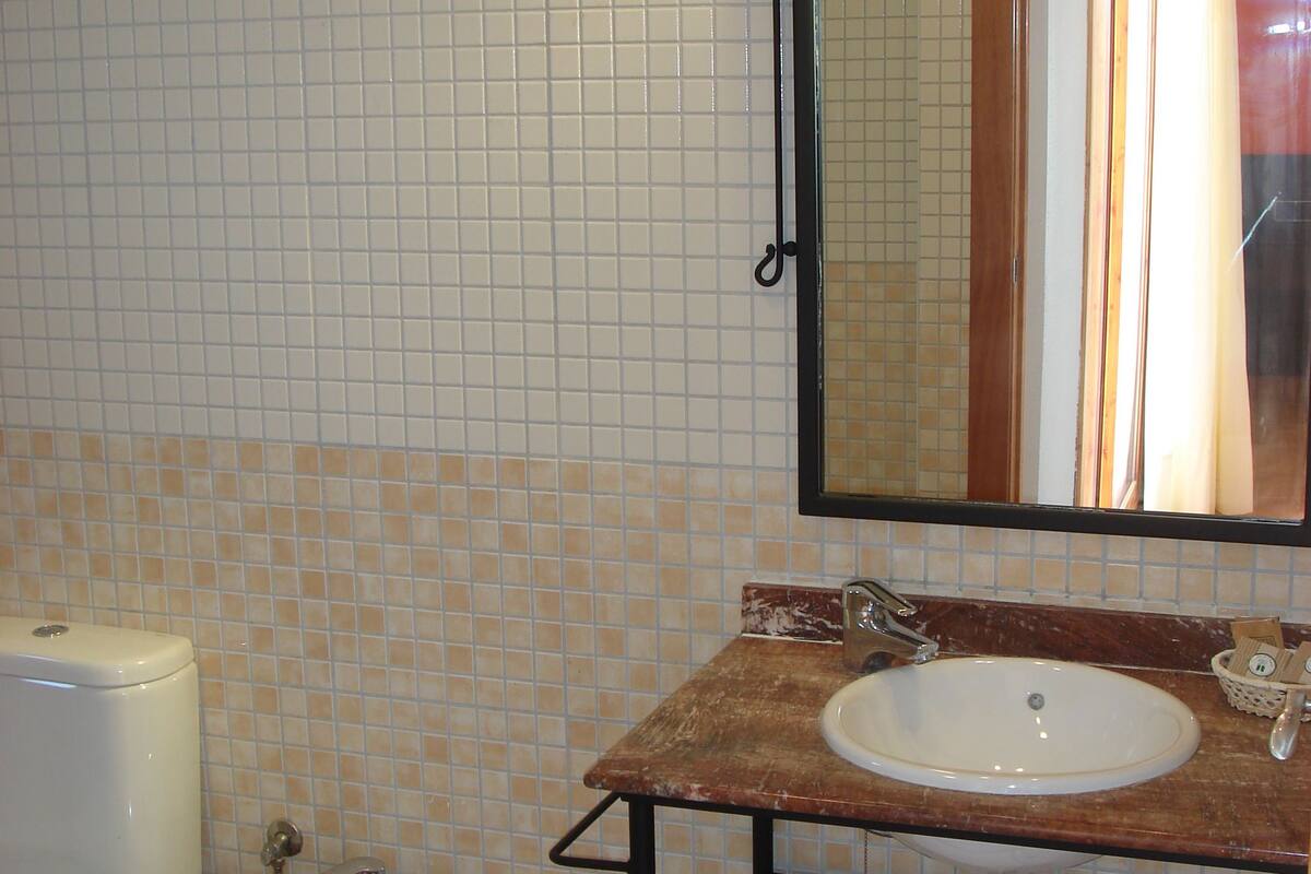 hair dryer, bidet, towels