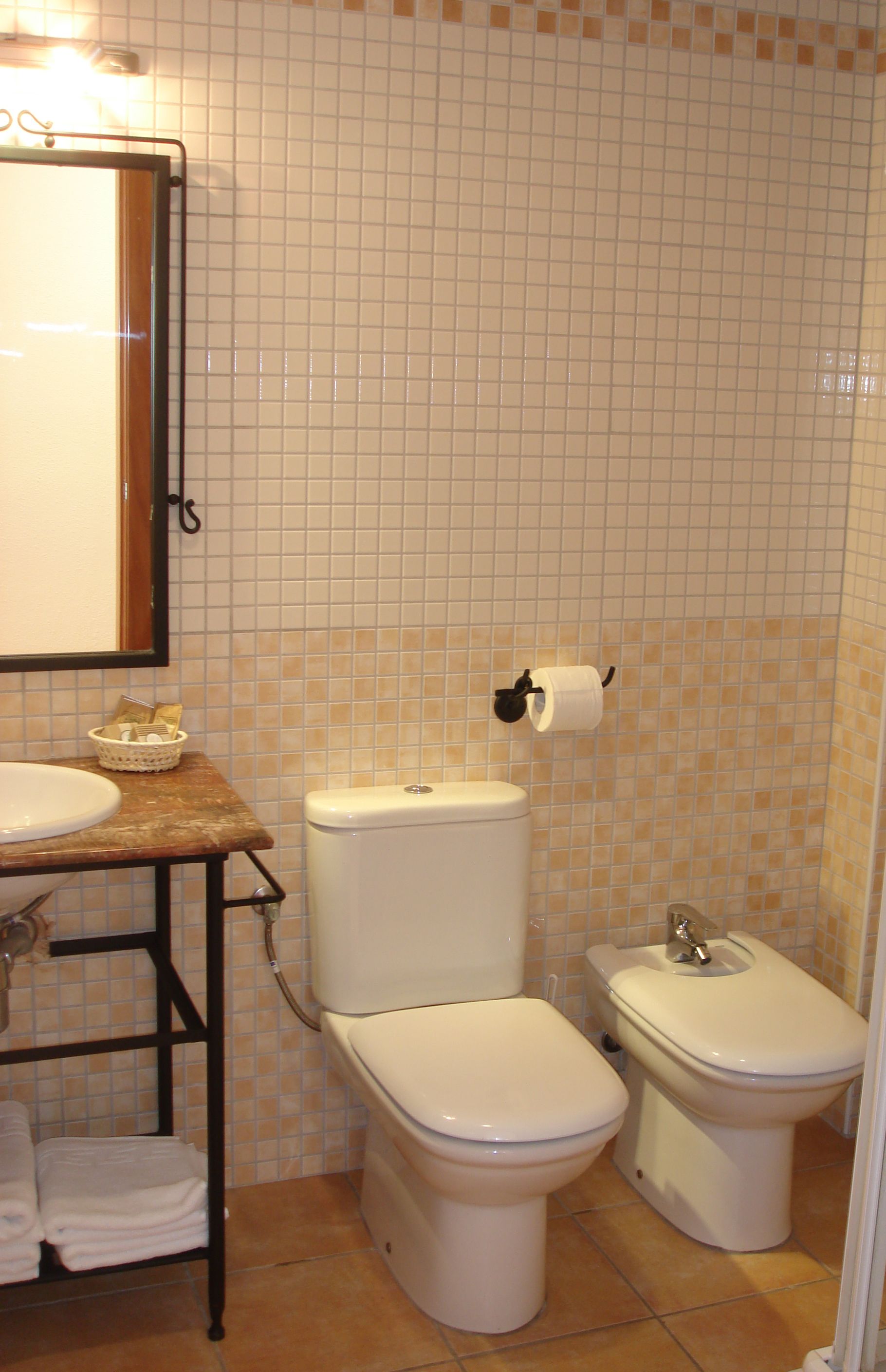 hair dryer, bidet, towels