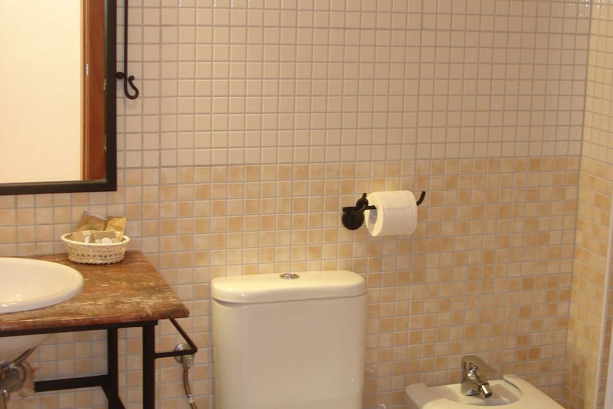 hair dryer, bidet, towels