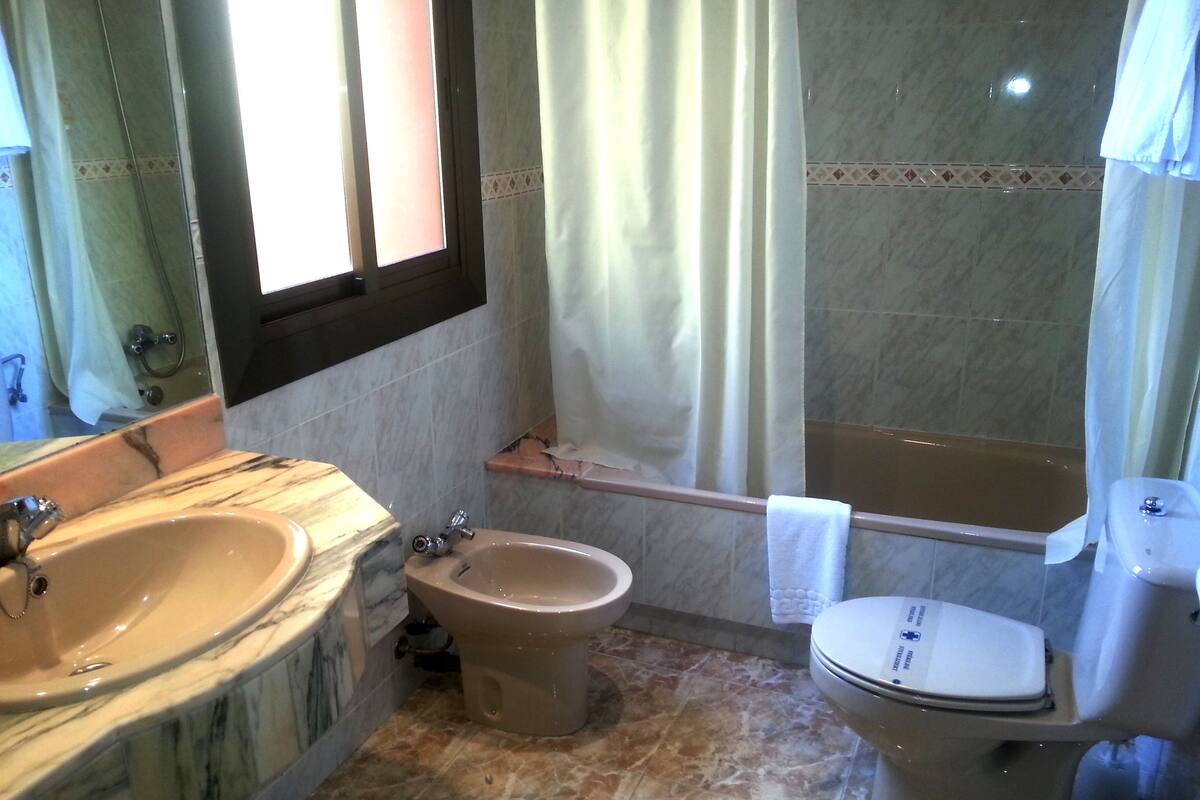 combined shower/bathtub, free toiletries, bidet, towels