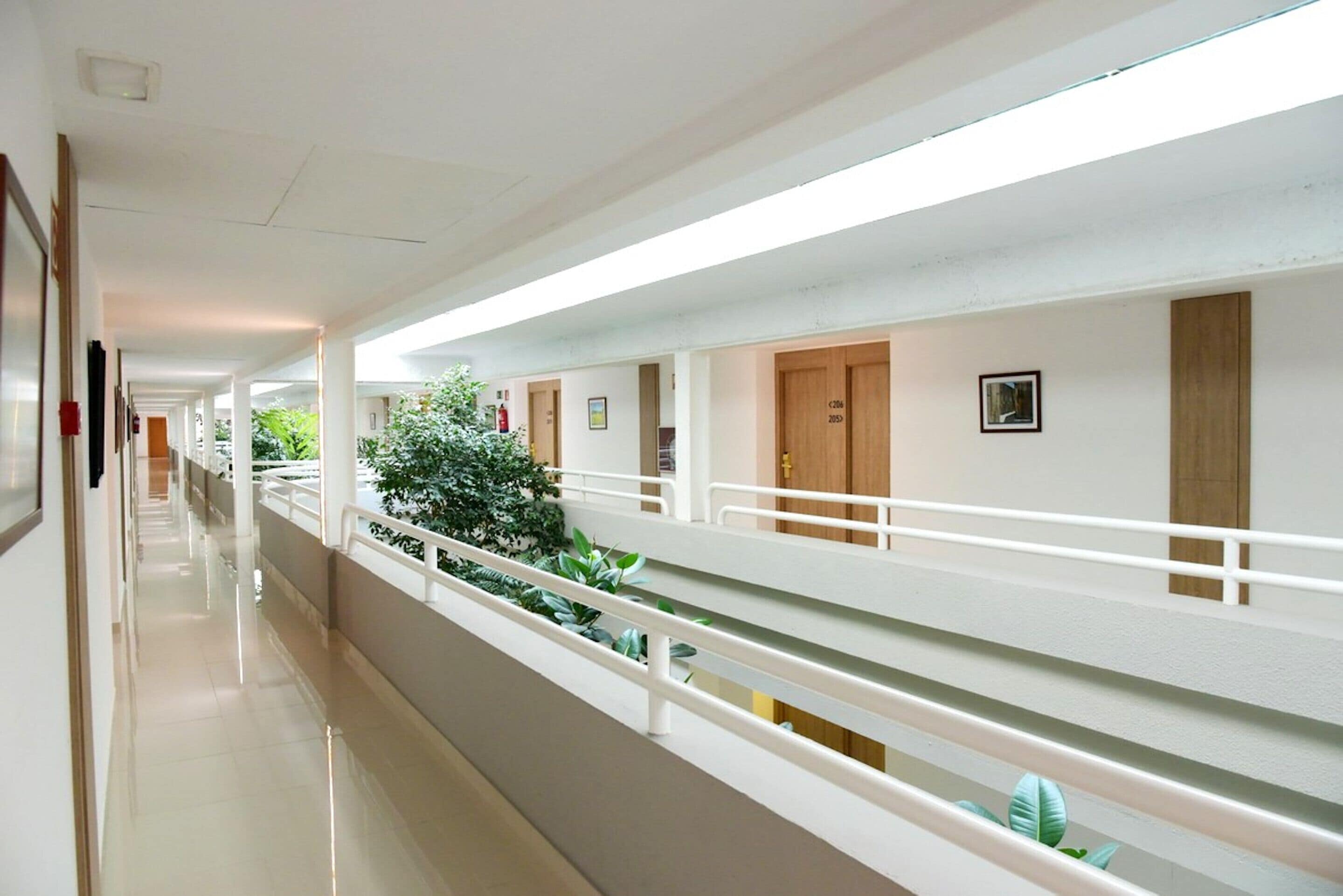 Foto - Hotel San Carlos