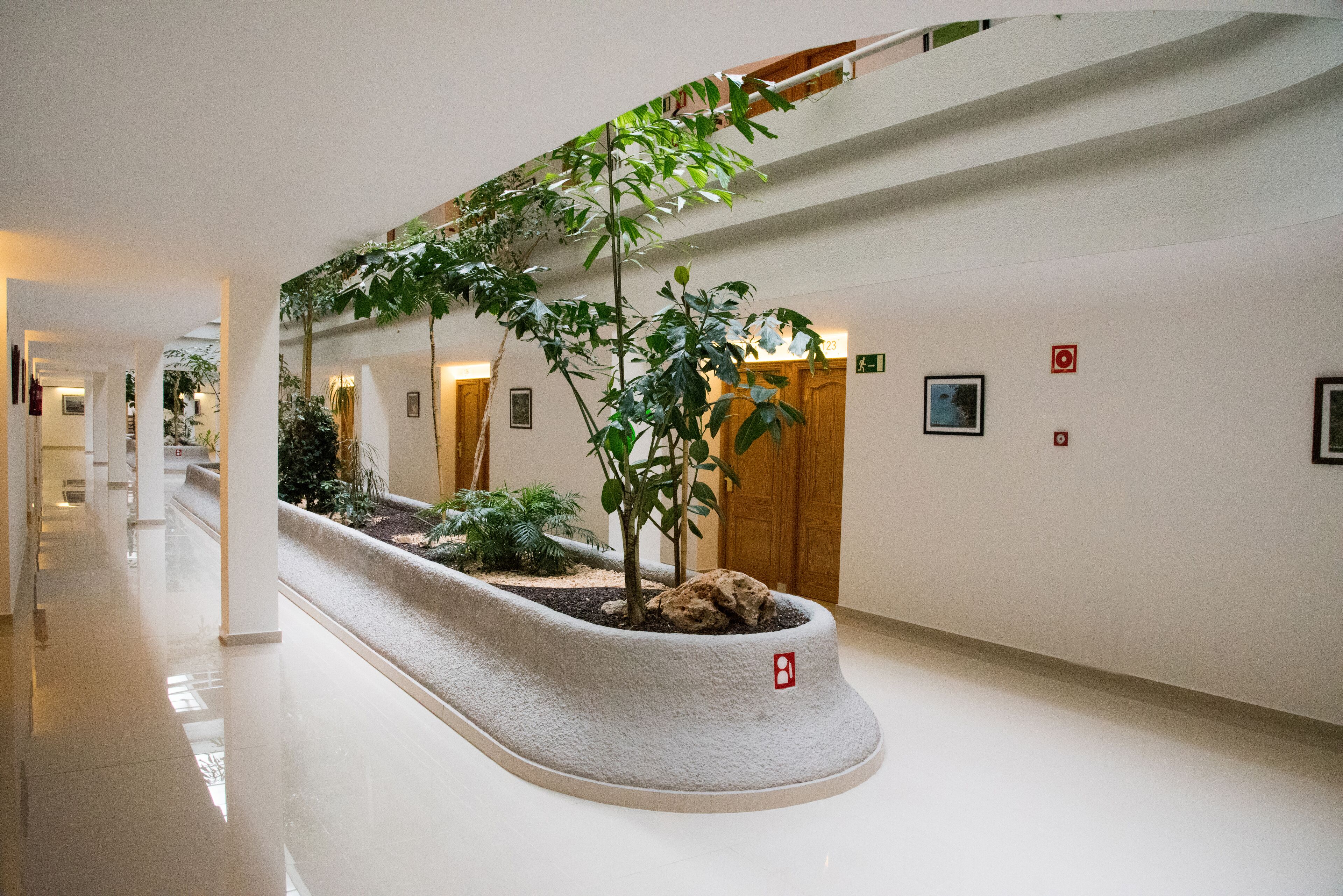 Foto - Hotel San Carlos