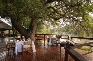 Un área de comedor al aire libre con mesas dispuestas bajo un gran árbol, con vista a un cuerpo de agua.