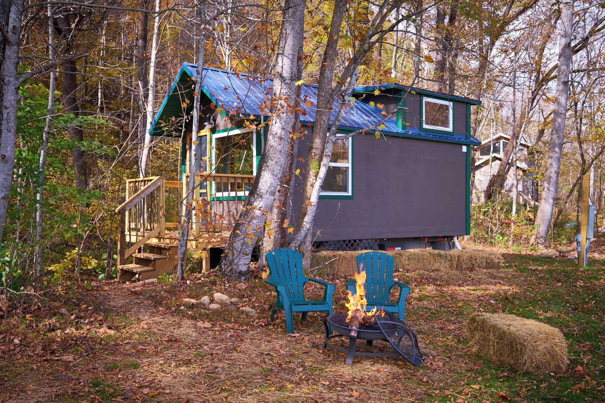 Junior Cabin | Terrace/patio