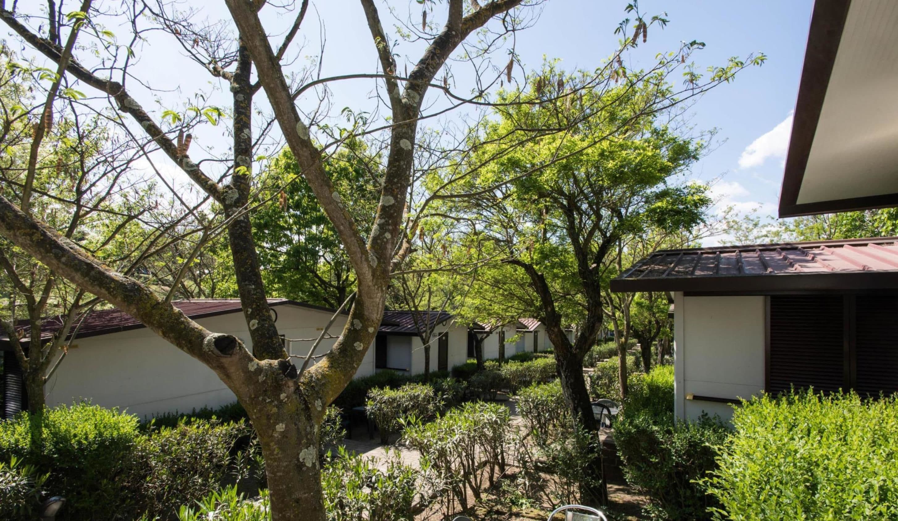 A residential area with multiple houses, surrounded by lush greenery and trees.