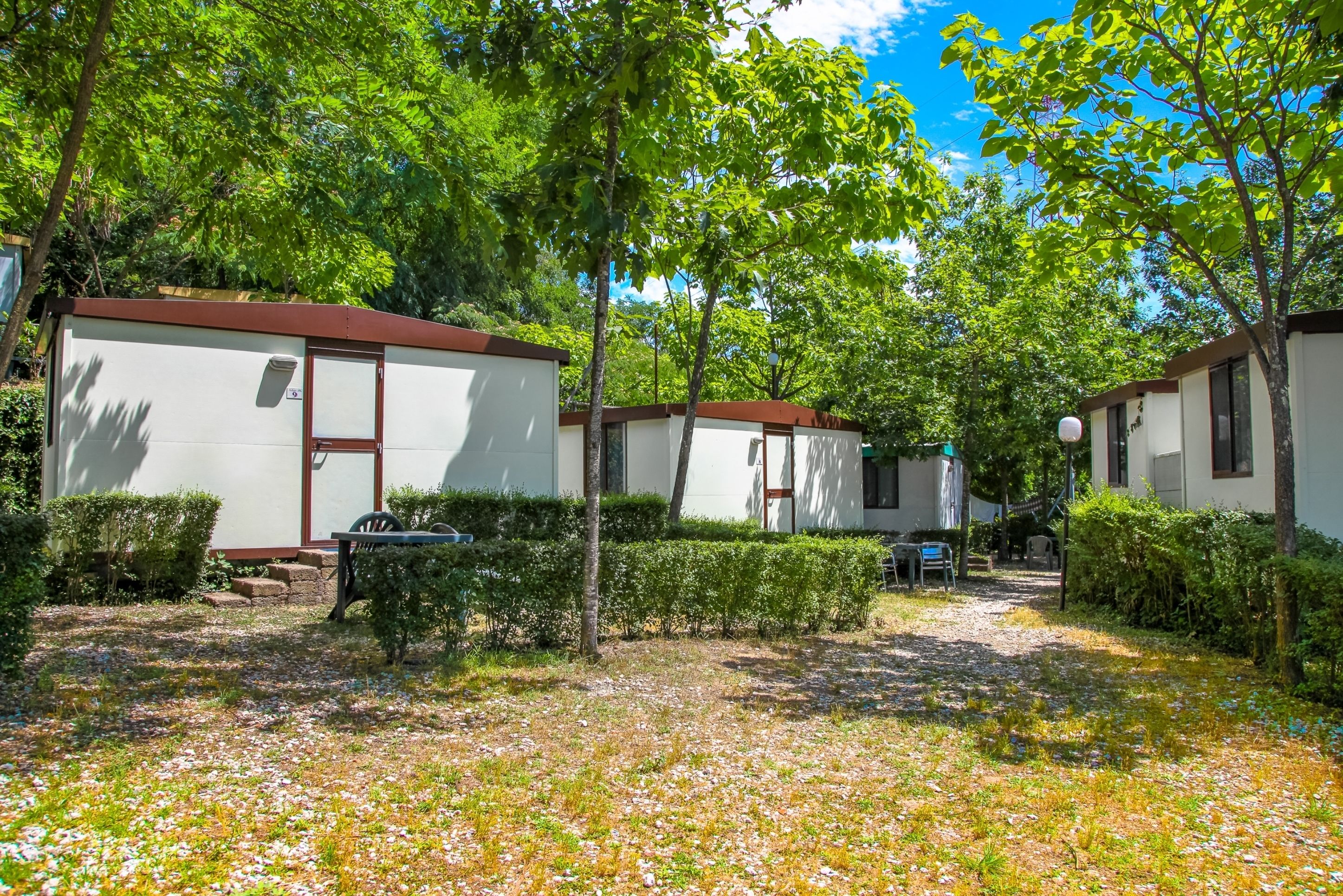 A row of white mobile homes with brown roofs, surrounded by greenery and trees.