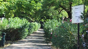 A pathway in a garden with directional signs. - Happy Village & Camping (Rome)