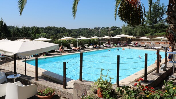 A swimming pool with lounge chairs and umbrellas, surrounded by palm trees and potted plants. - Happy Village & Camping (Rome)