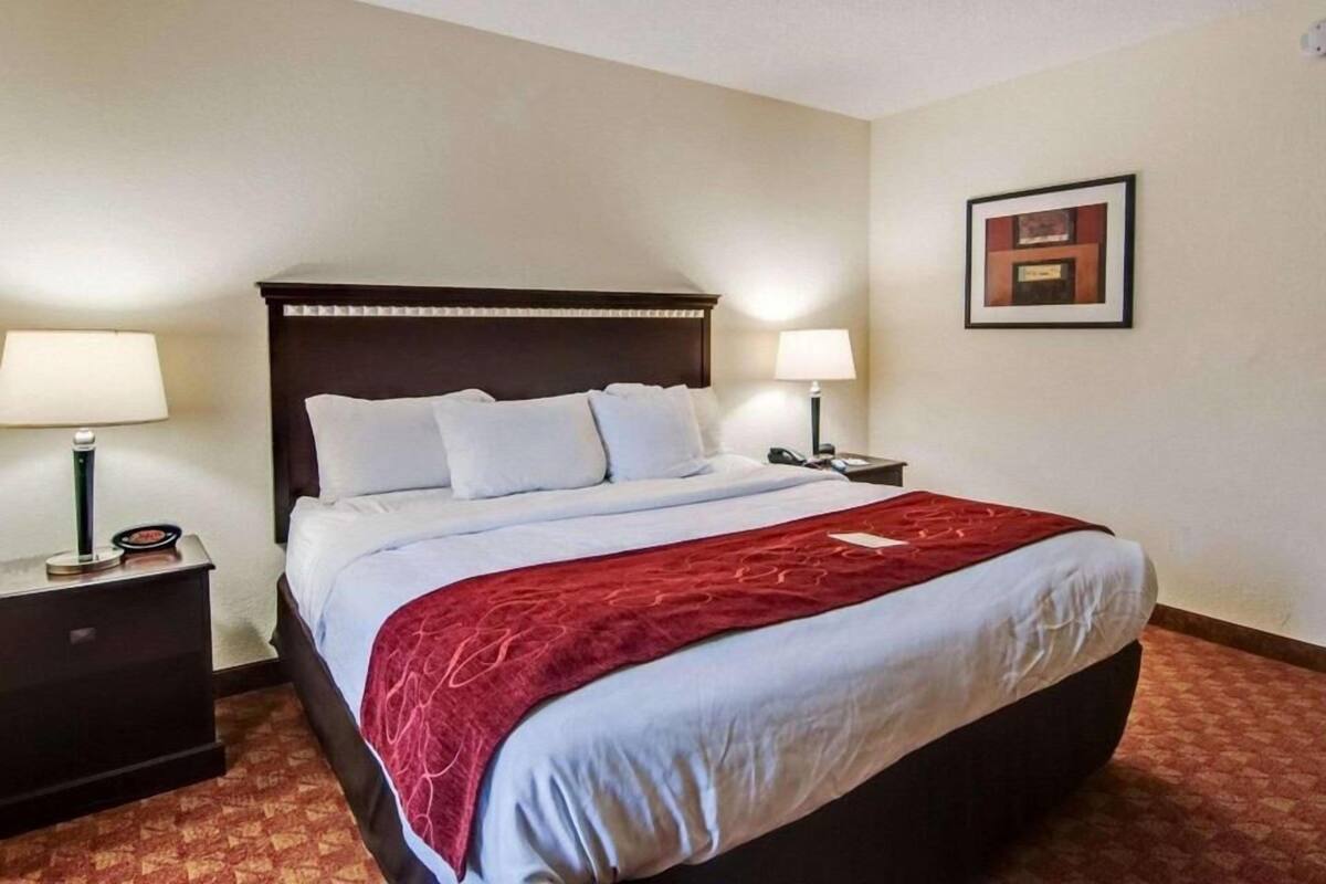 Een hotelkamer met een bed, twee nachtkastjes, een lamp en een lijst met een afbeelding aan de muur.
