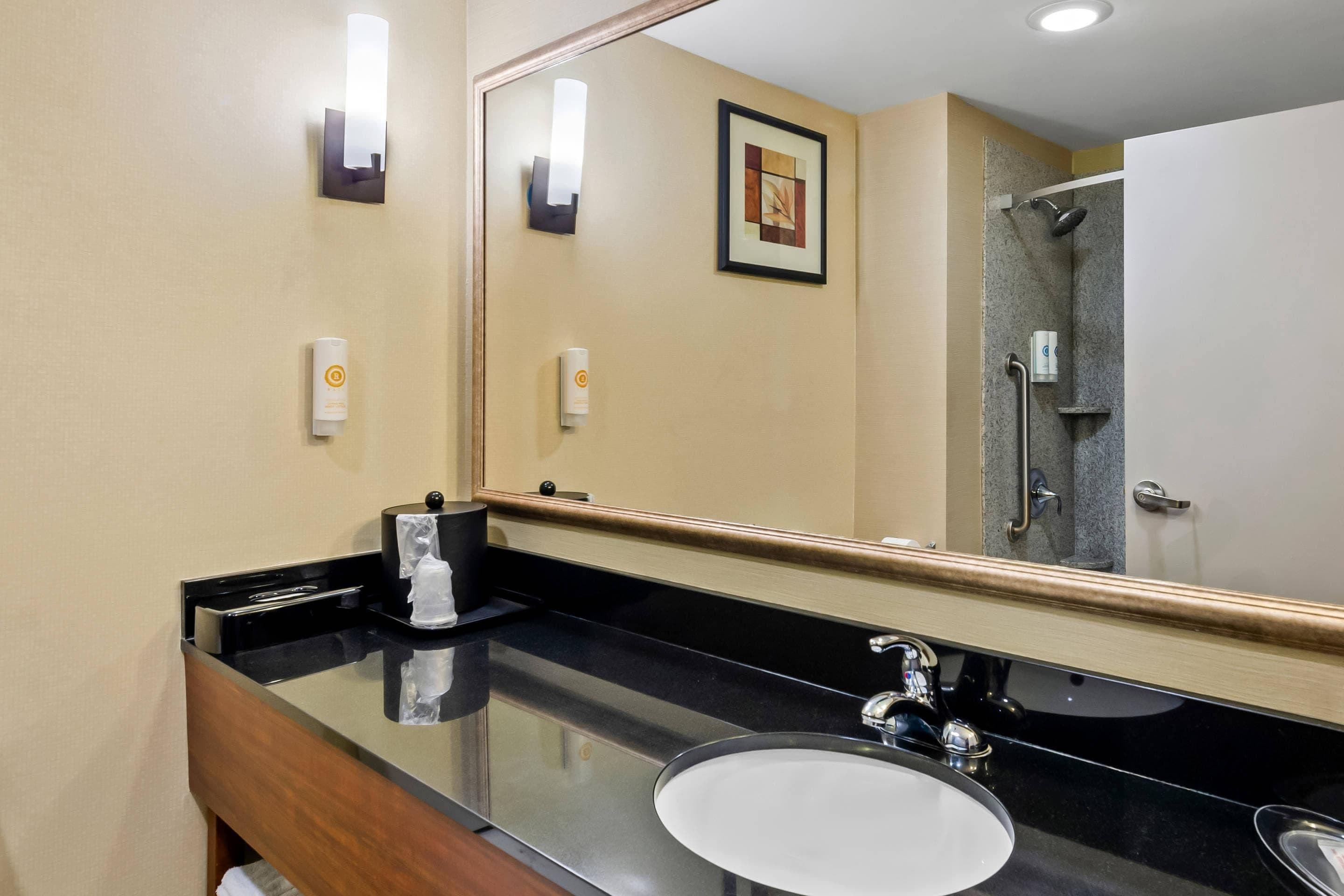 A hotel bathroom with a large mirror, a sink, a towel dispenser, and a framed picture on the wall.