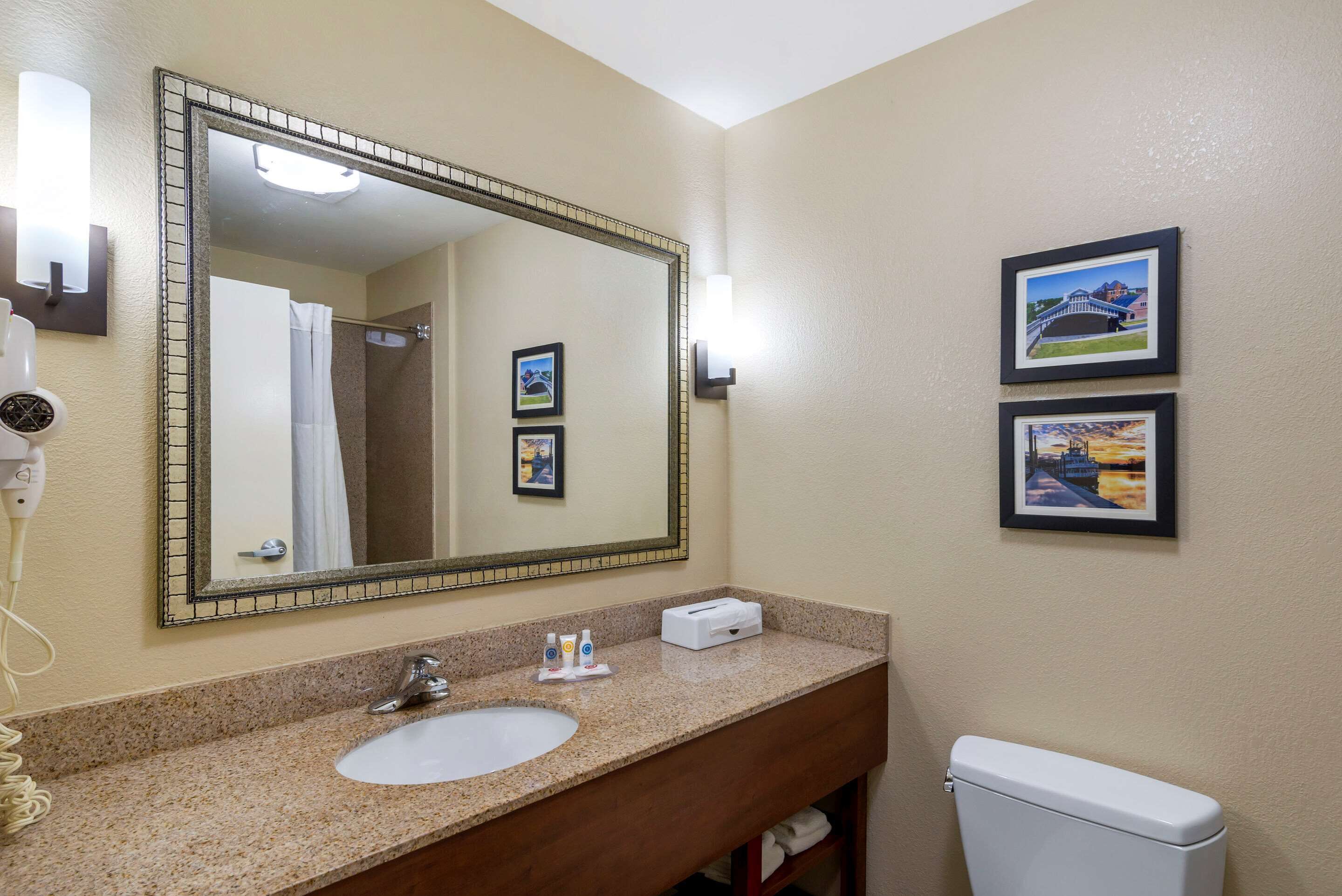 A bathroom with a large mirror, a sink, a toilet, and two framed pictures on the wall.