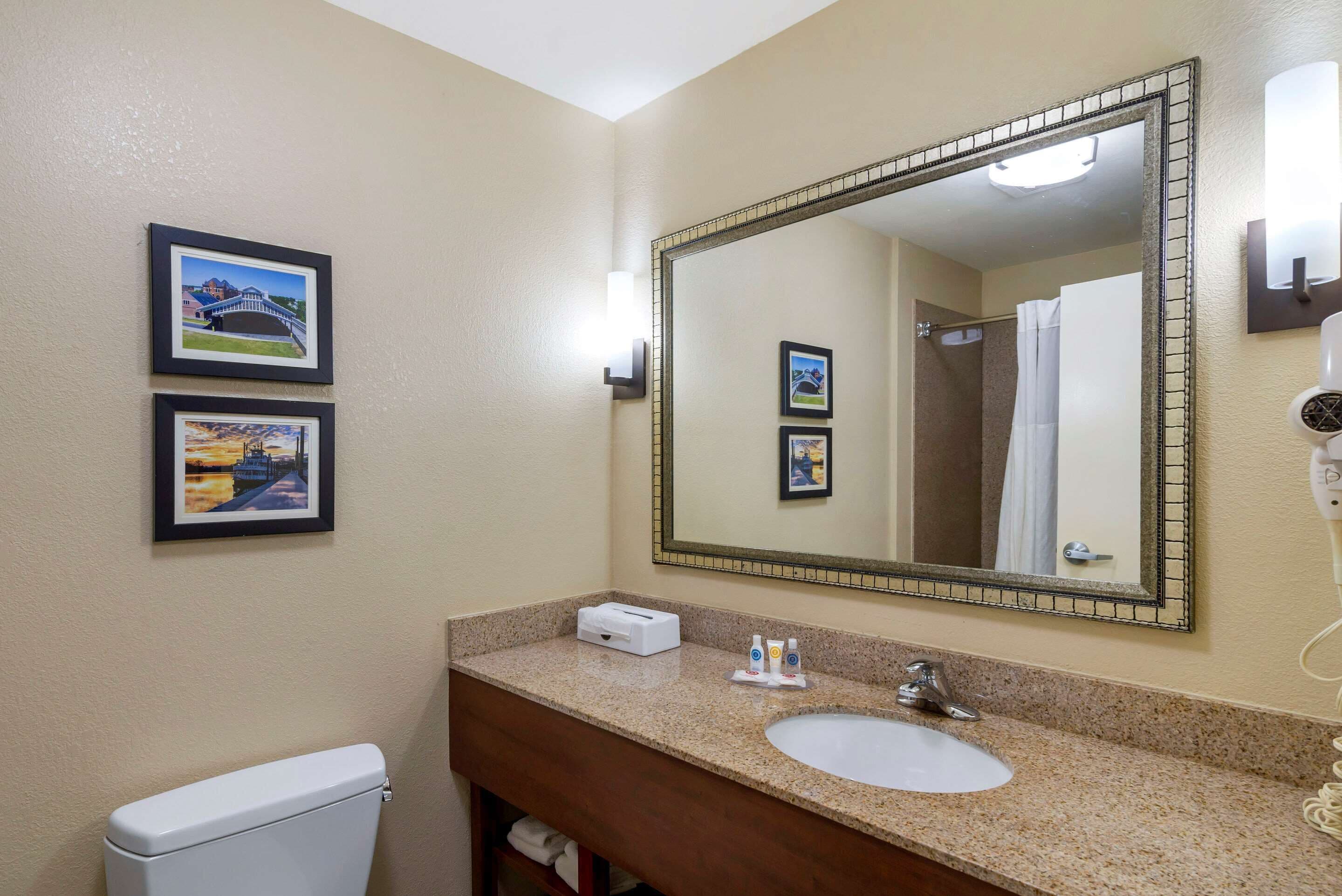 A bathroom with a large mirror, a sink, and two framed pictures on the wall.