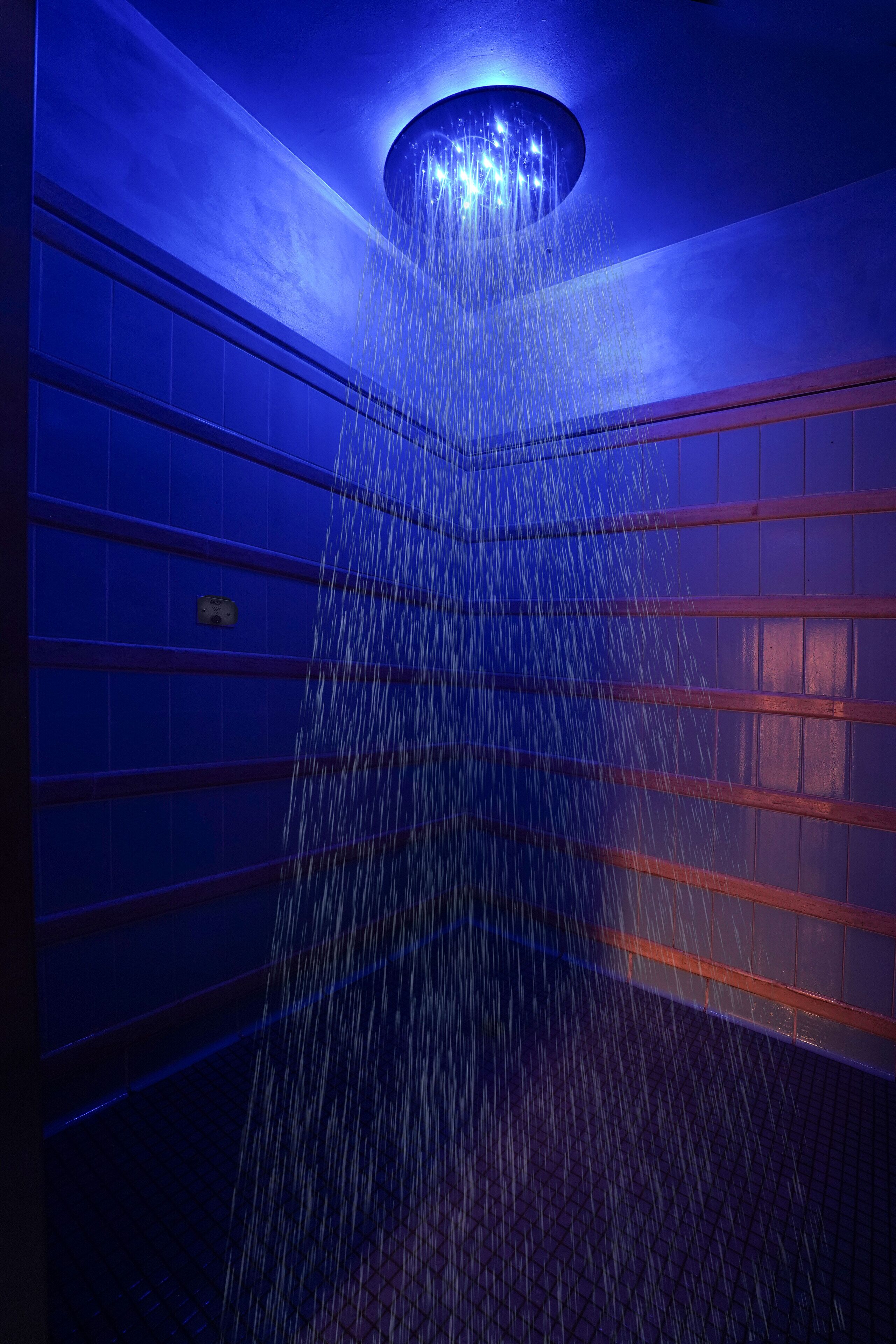 couples treatment room(s), sauna, hot tub, steam room