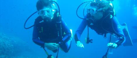 Two divers underwater with scuba gear, surrounded by marine life.
