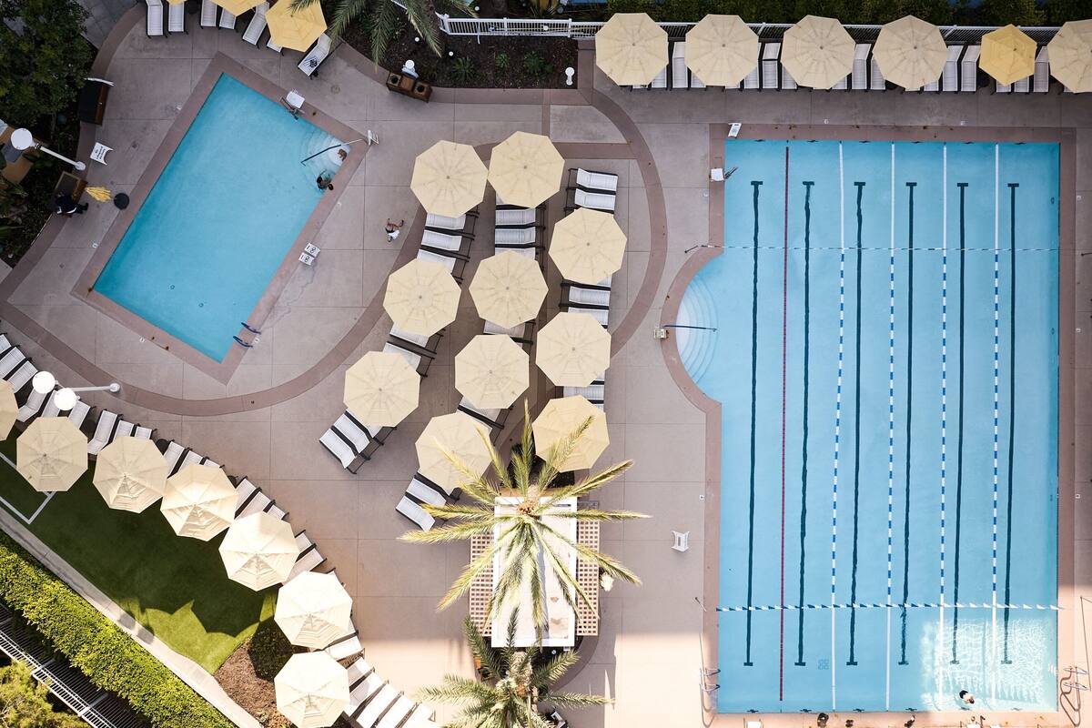 An aerial view of a swimming pool area with lounge chairs and umbrellas, surrounded by a landscaped garden.