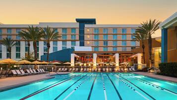 A hotel pool area with multiple swimming lanes, sun loungers, and palm trees.