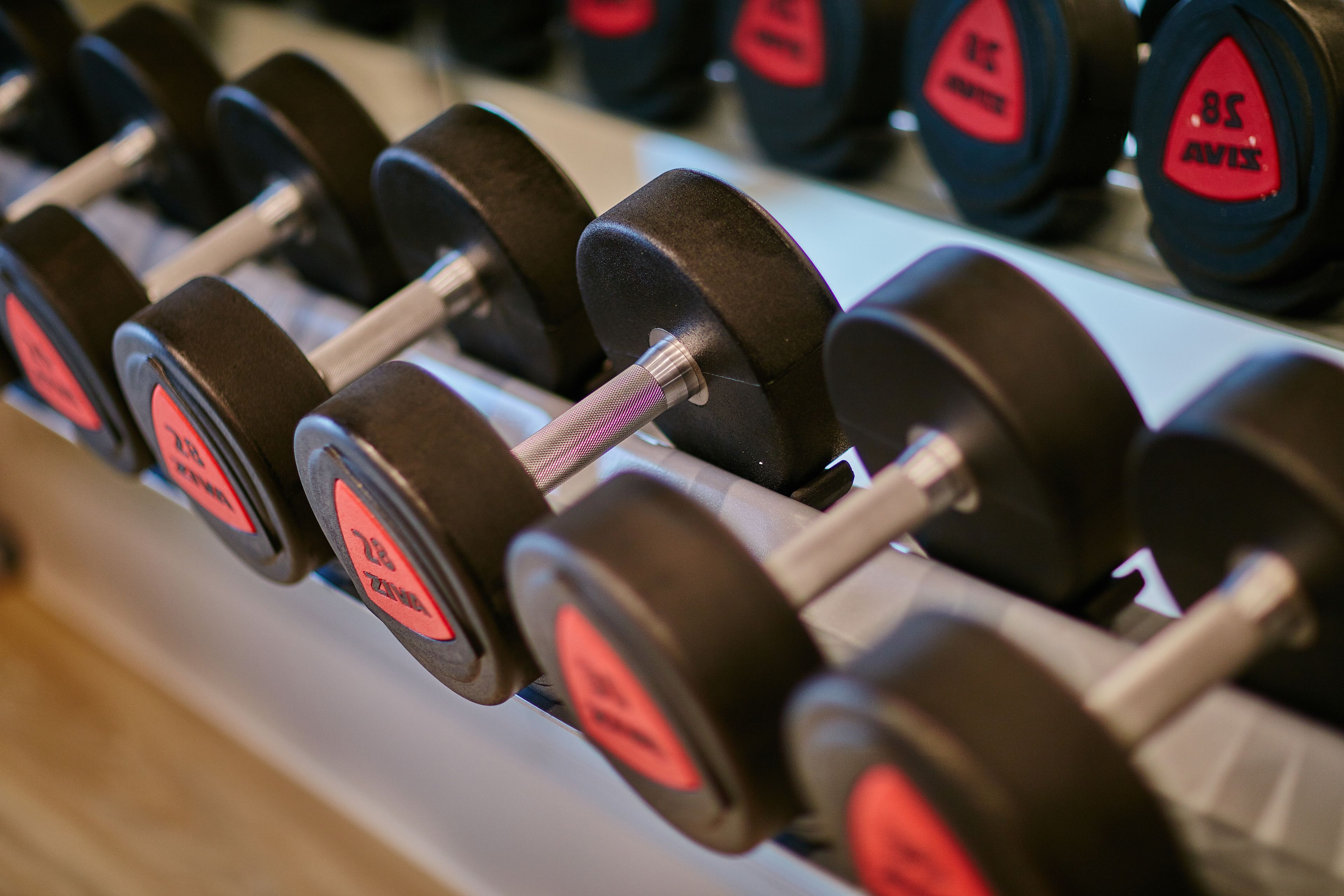 A row of dumbbells with red and black labels, arranged on a rack.