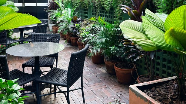 A patio area with a round table and chairs, surrounded by potted plants and a wooden fence.