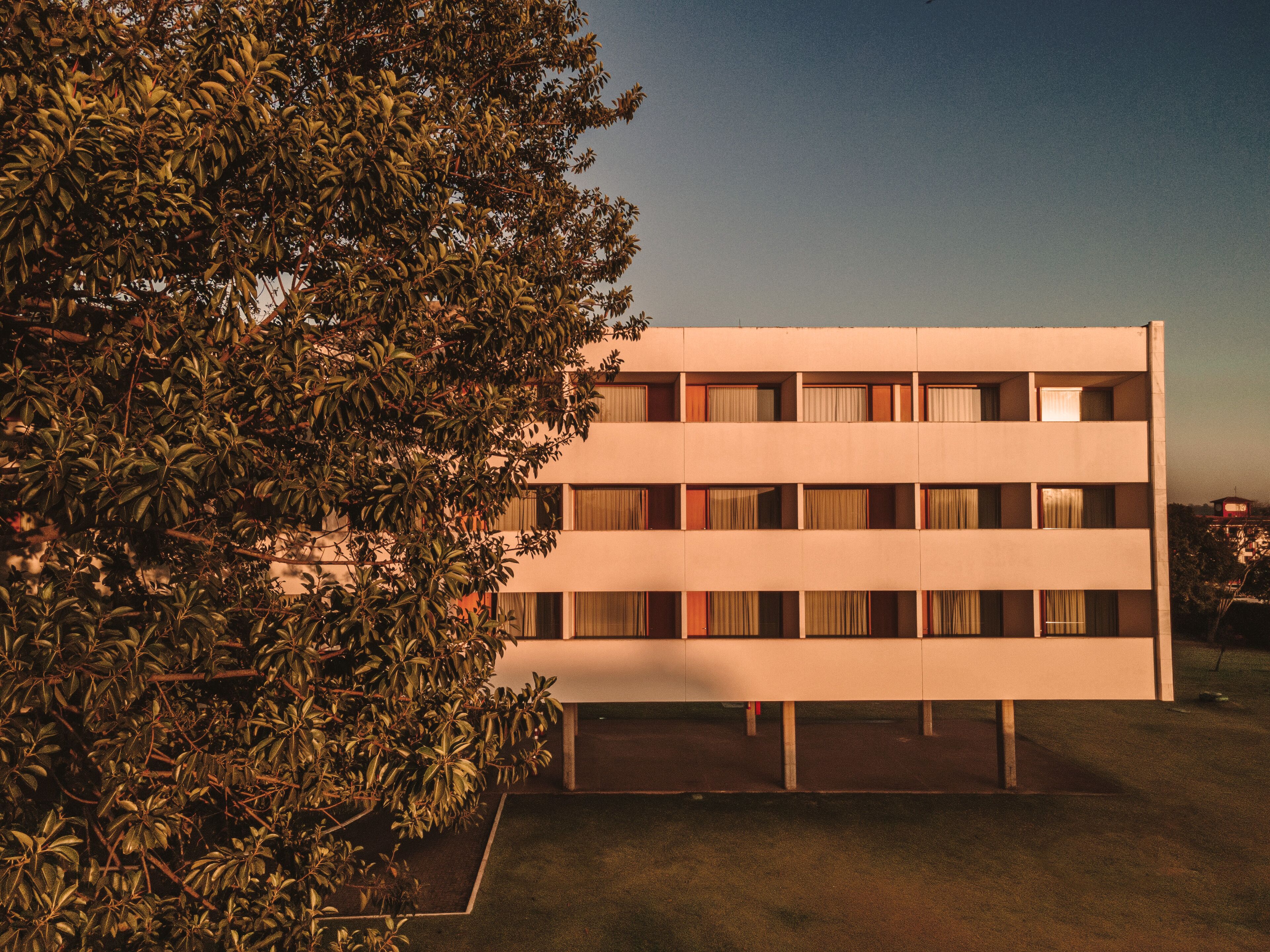 Um edifício moderno com telhado plano e fachada simétrica, rodeado por vegetação densa.