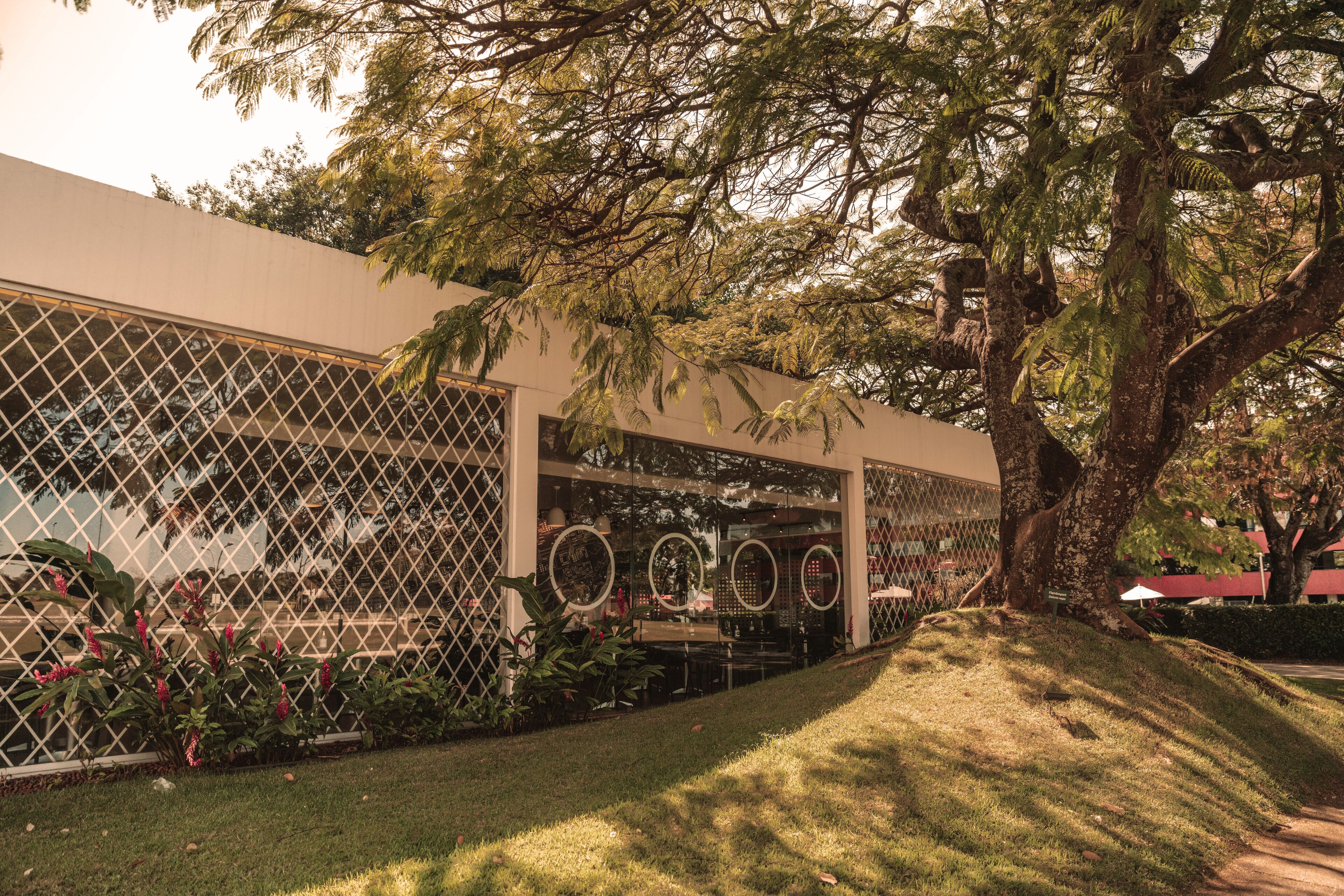 Lunch, dinner served; Italian cuisine, pool views 