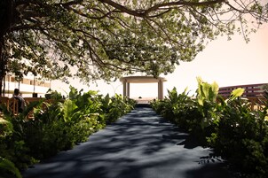 Outdoor wedding area