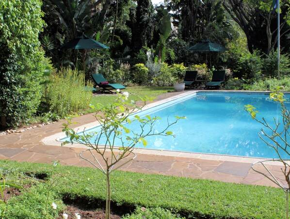 Outdoor pool, open 7:00 AM to 6:00 PM, pool umbrellas, pool loungers