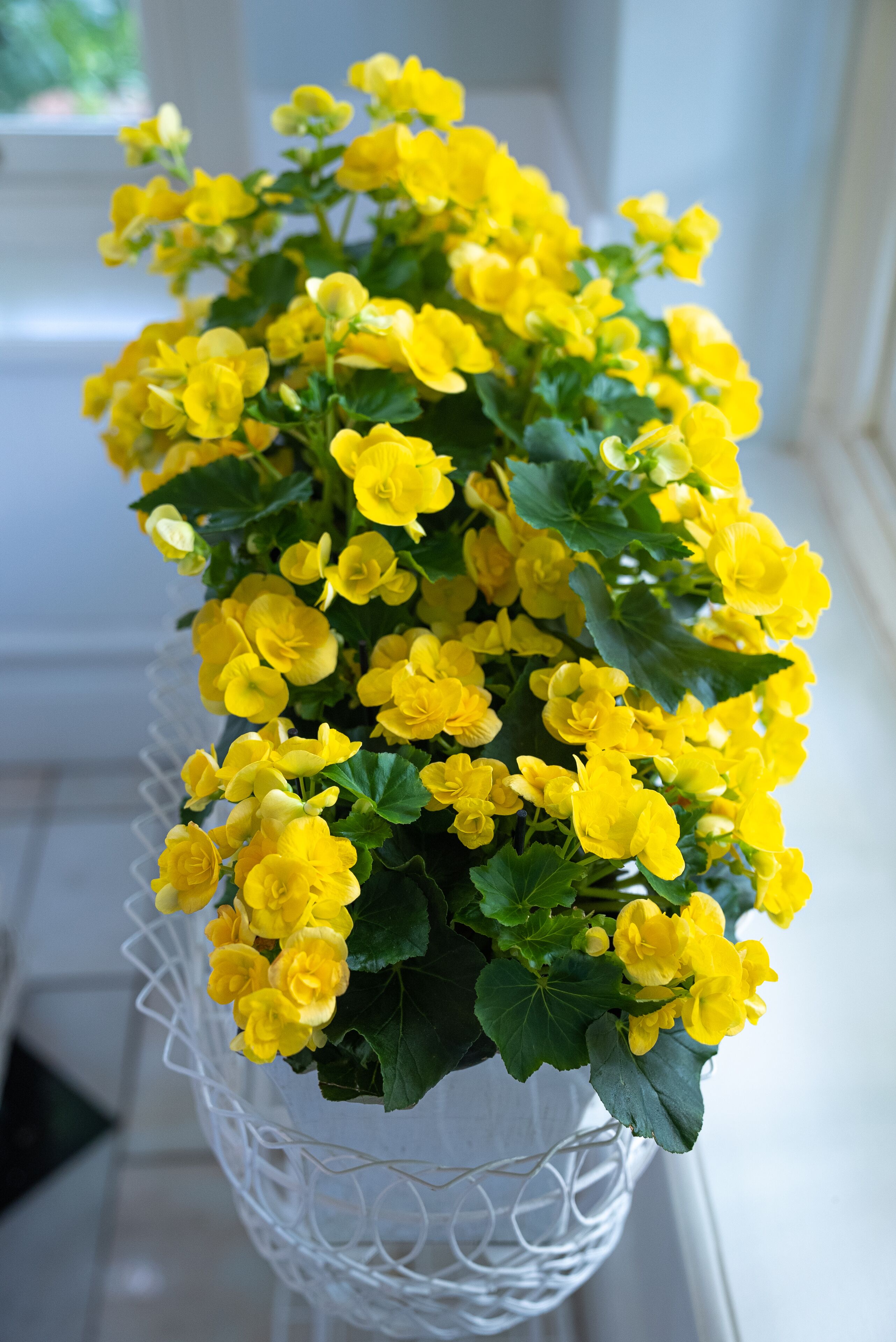 32-inch led tv with cable channels, tv