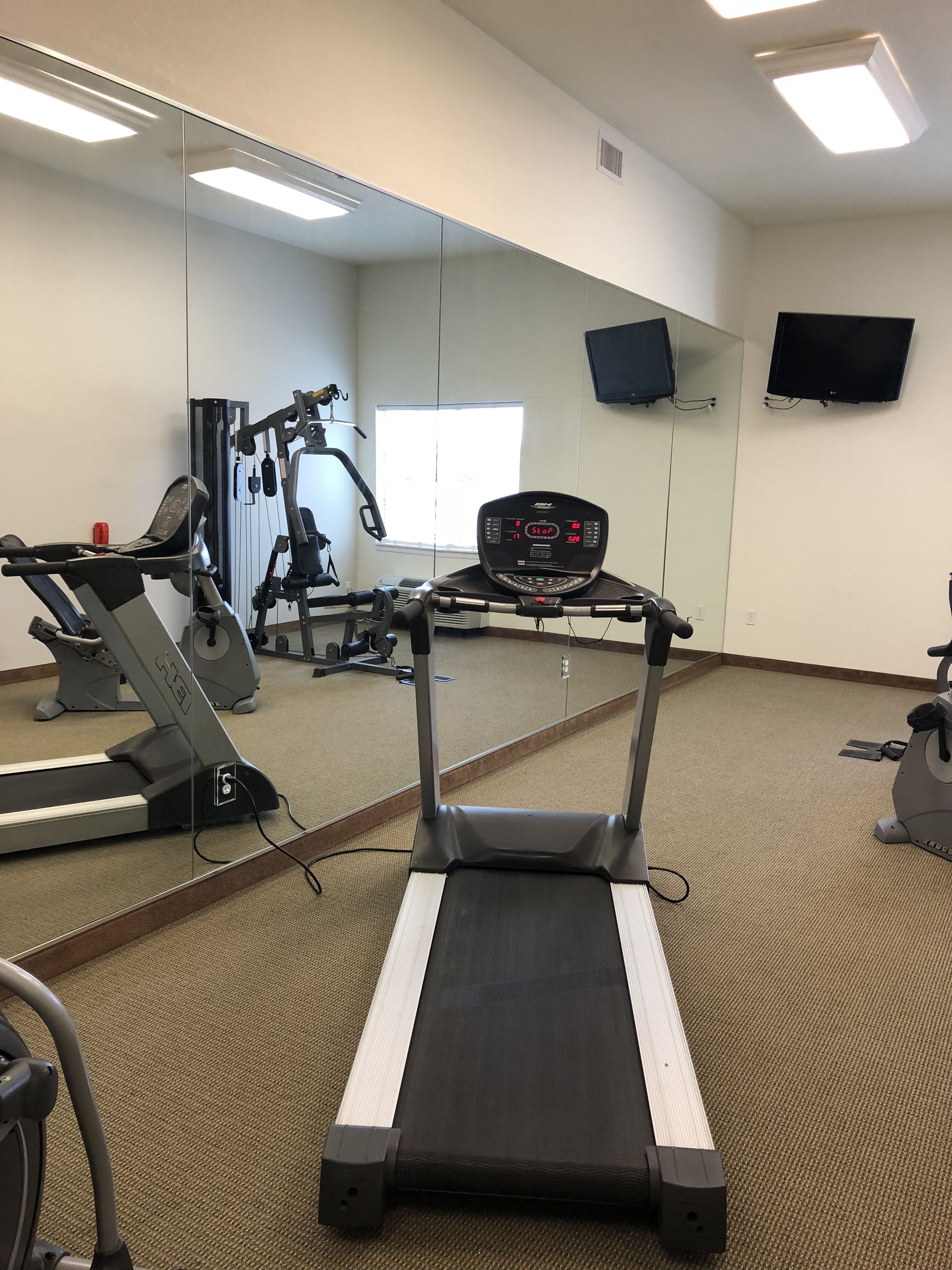 Un gimnasio con cinta de correr, bicicleta estática y máquinas de pesas.