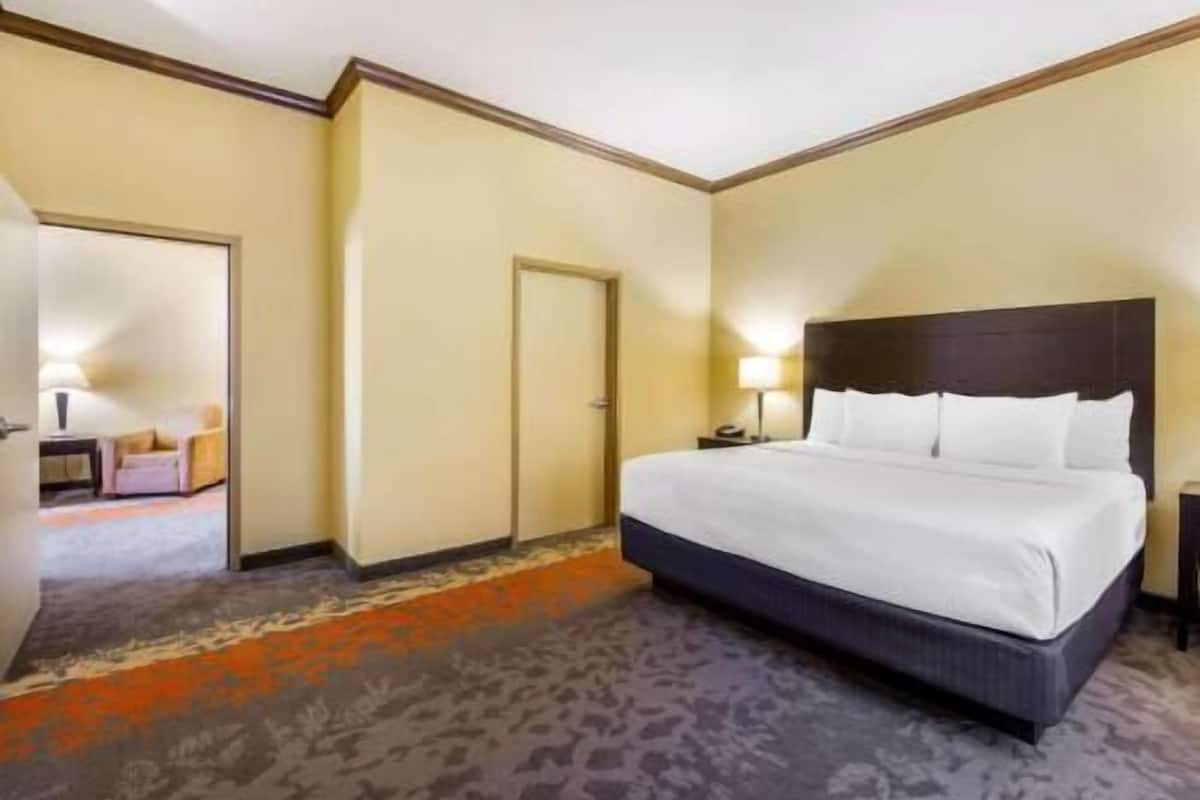 Habitación de hotel con cama, mesita de noche, lámpara, puerta y suelo alfombrado.