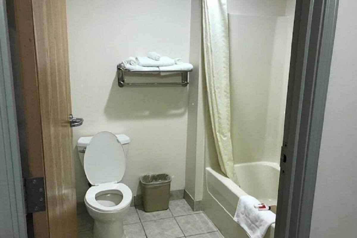 combined shower/bathtub, free toiletries, hair dryer, towels