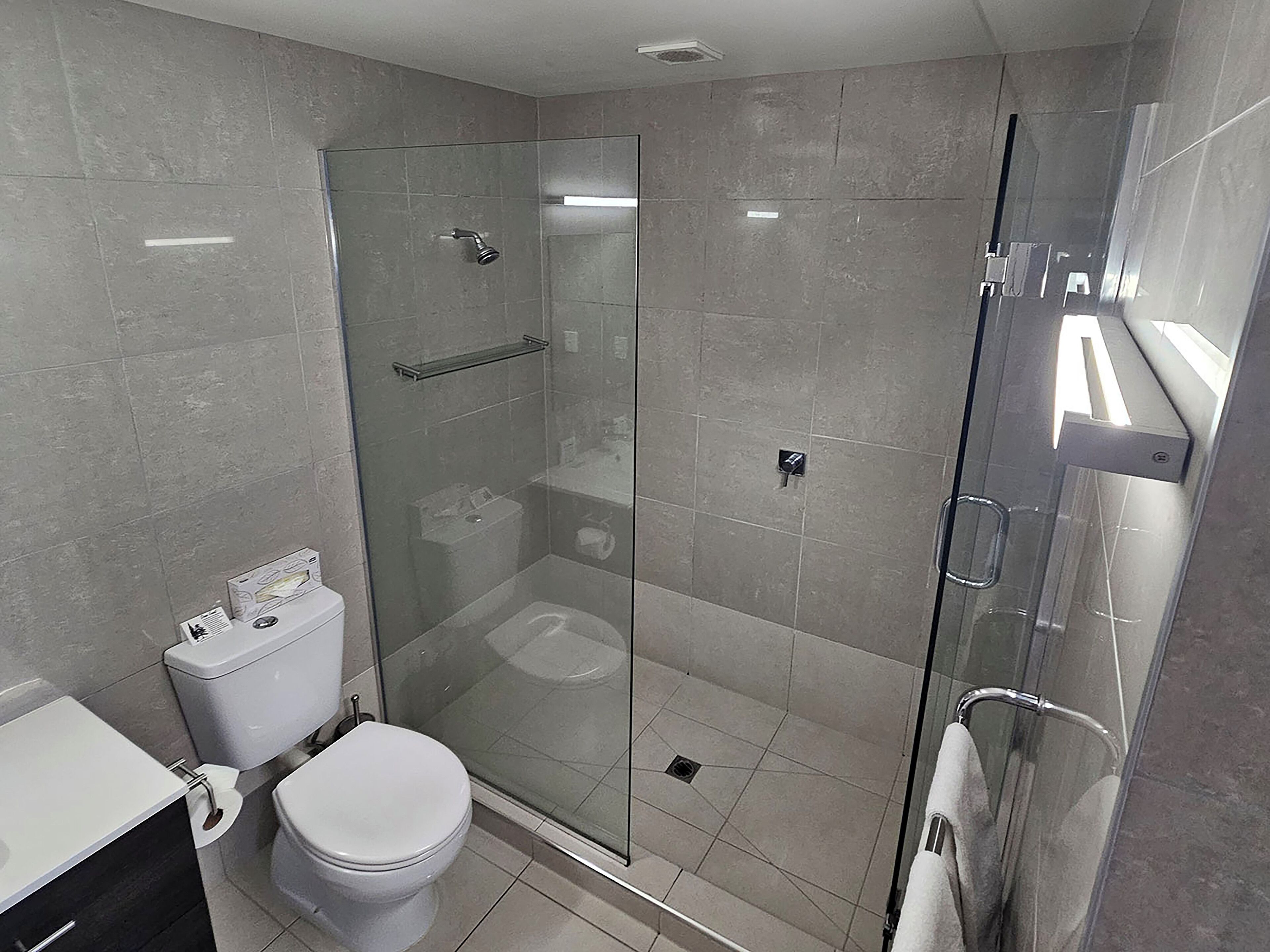 A modern bathroom with a glass-enclosed shower, a toilet, and a sink.