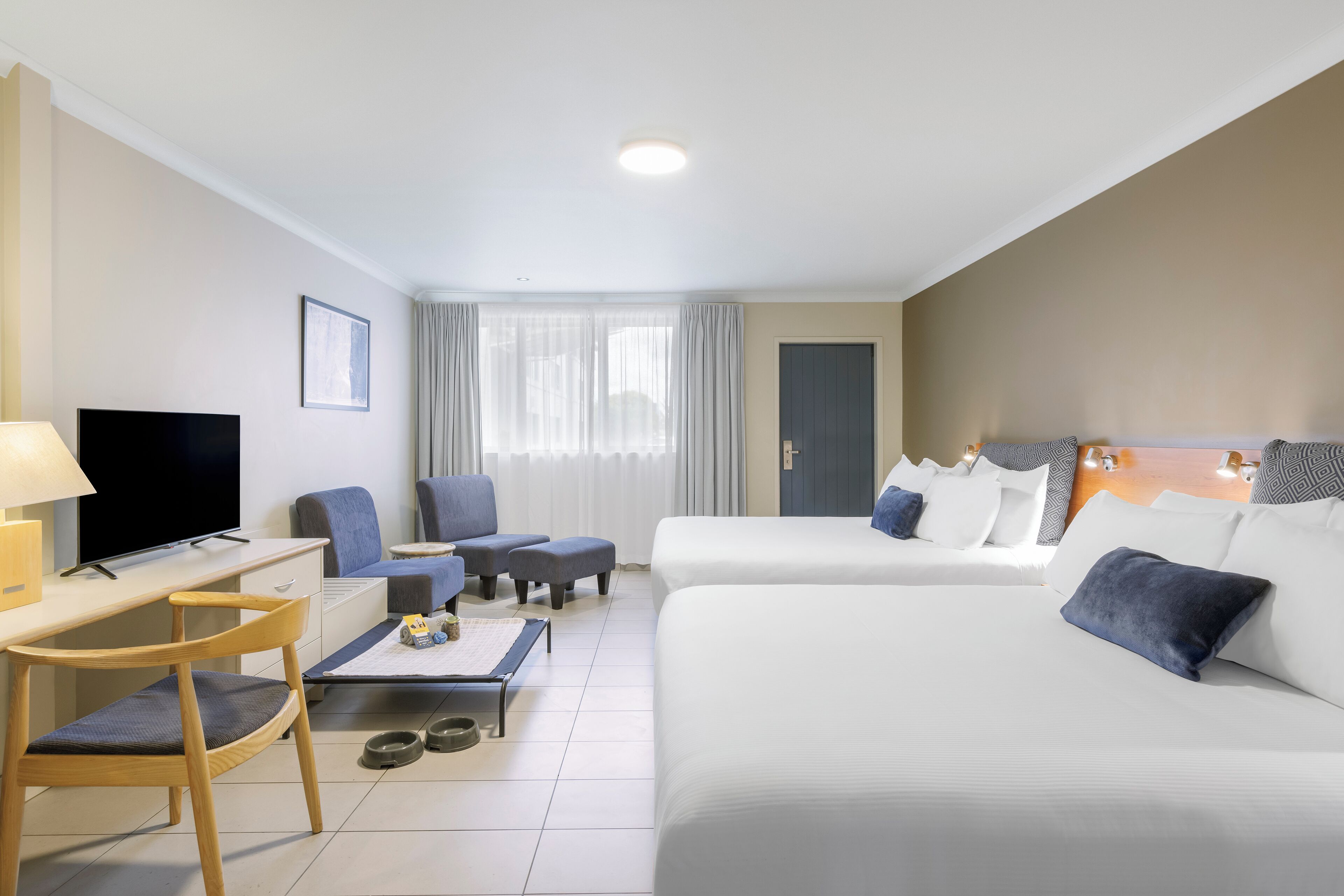 A hotel room with a bed, a desk with a TV, a chair, a sofa, and a window with curtains.