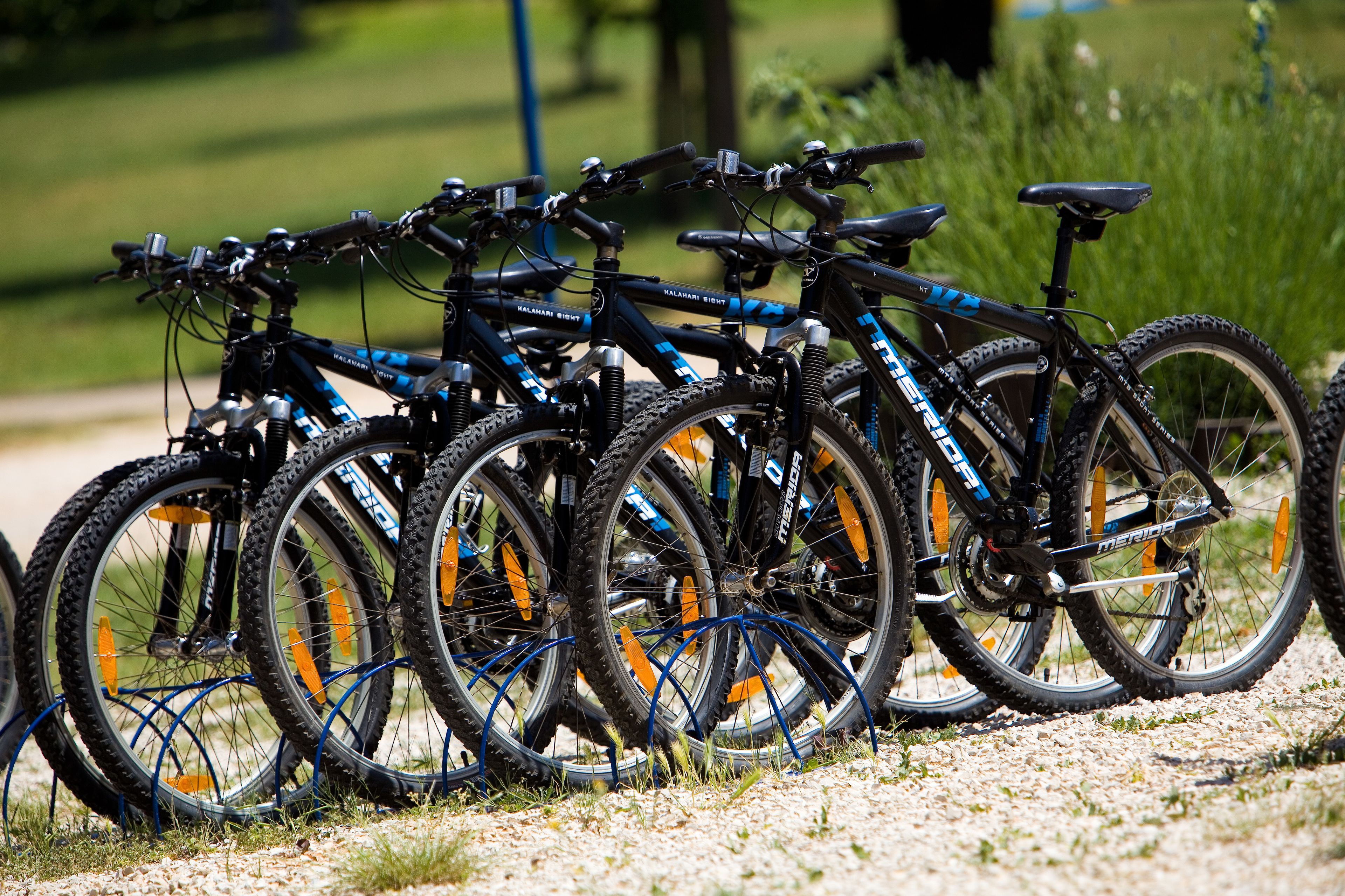 A row of bicycles parked on a gravel path.