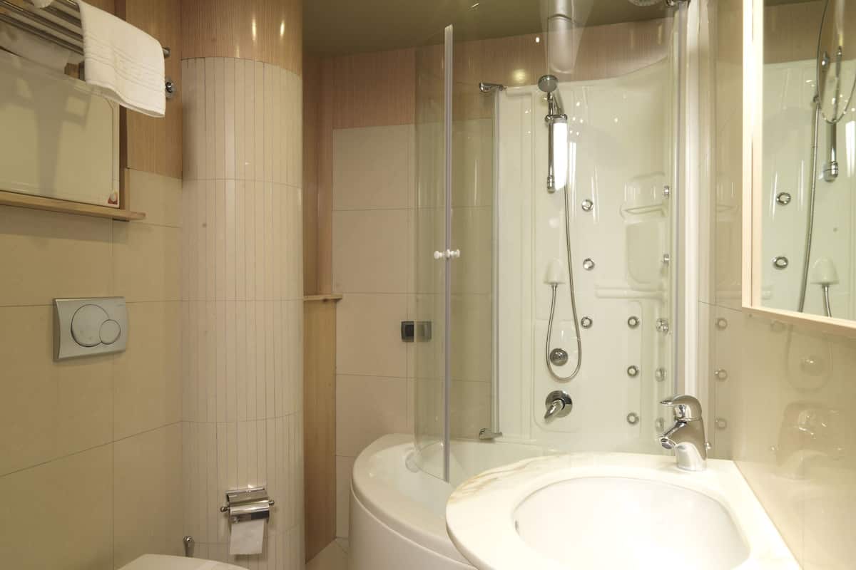 shower, hydromassage showerhead, hair dryer, bidet