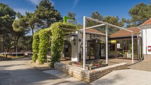 Un área de recepción con puerta de cristal, un cartel que indica recepción las 24 horas y una jardinera de piedra con plantas.