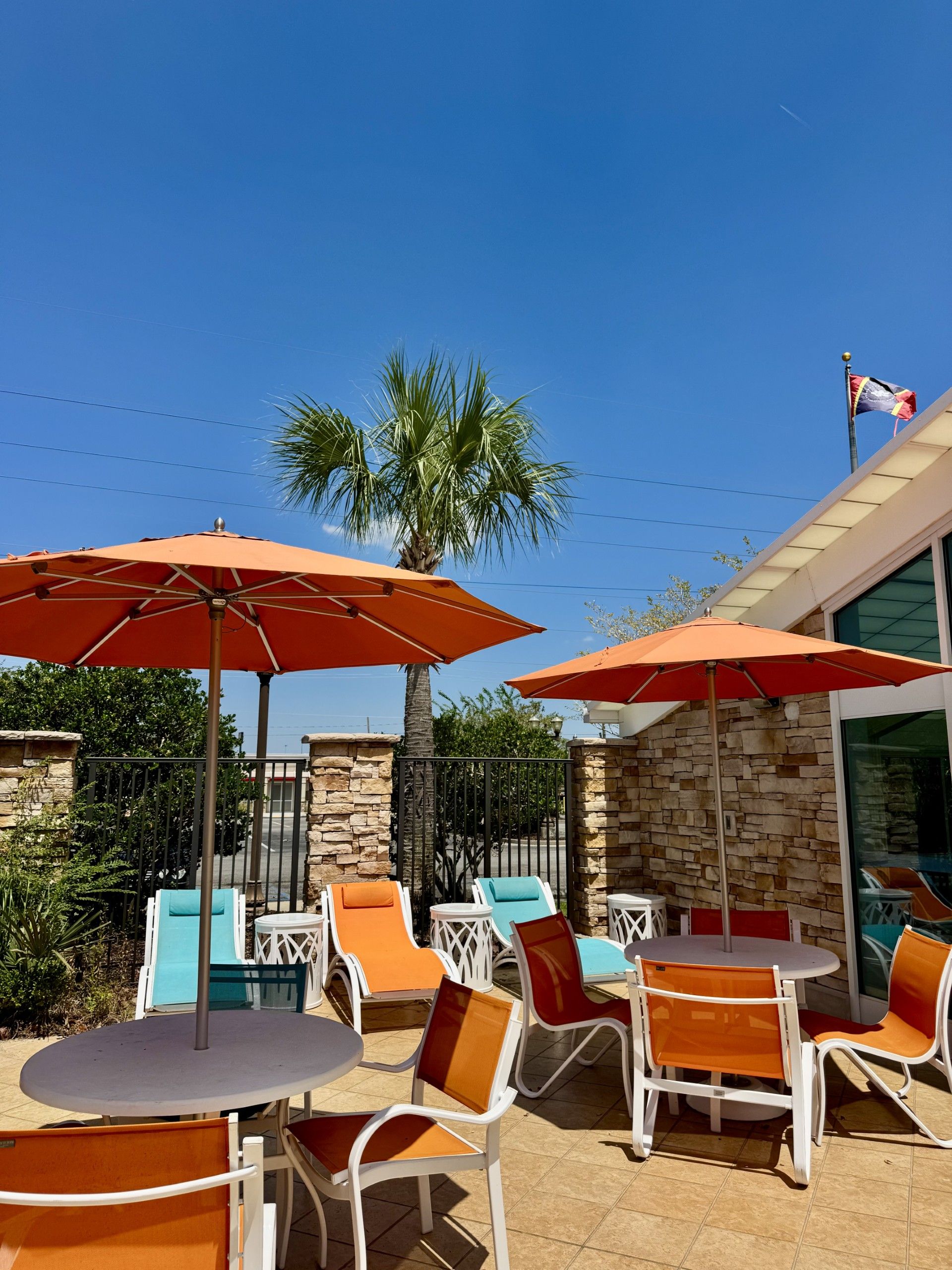 An outdoor seating area with tables and chairs, umbrellas, and a palm tree.