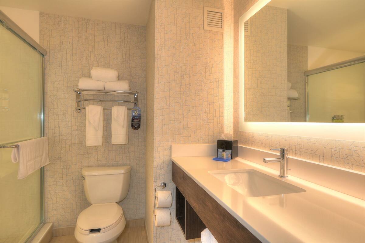 standard room, 1 king bed, jetted tub | bathroom | combined shower/bathtub, free toiletries, hair dryer, towels