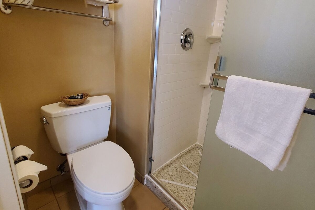 A bathroom with a toilet, a glass shower enclosure, and a towel rack.