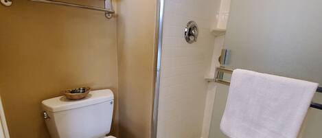 A bathroom with a toilet, a glass shower enclosure, and a towel rack.