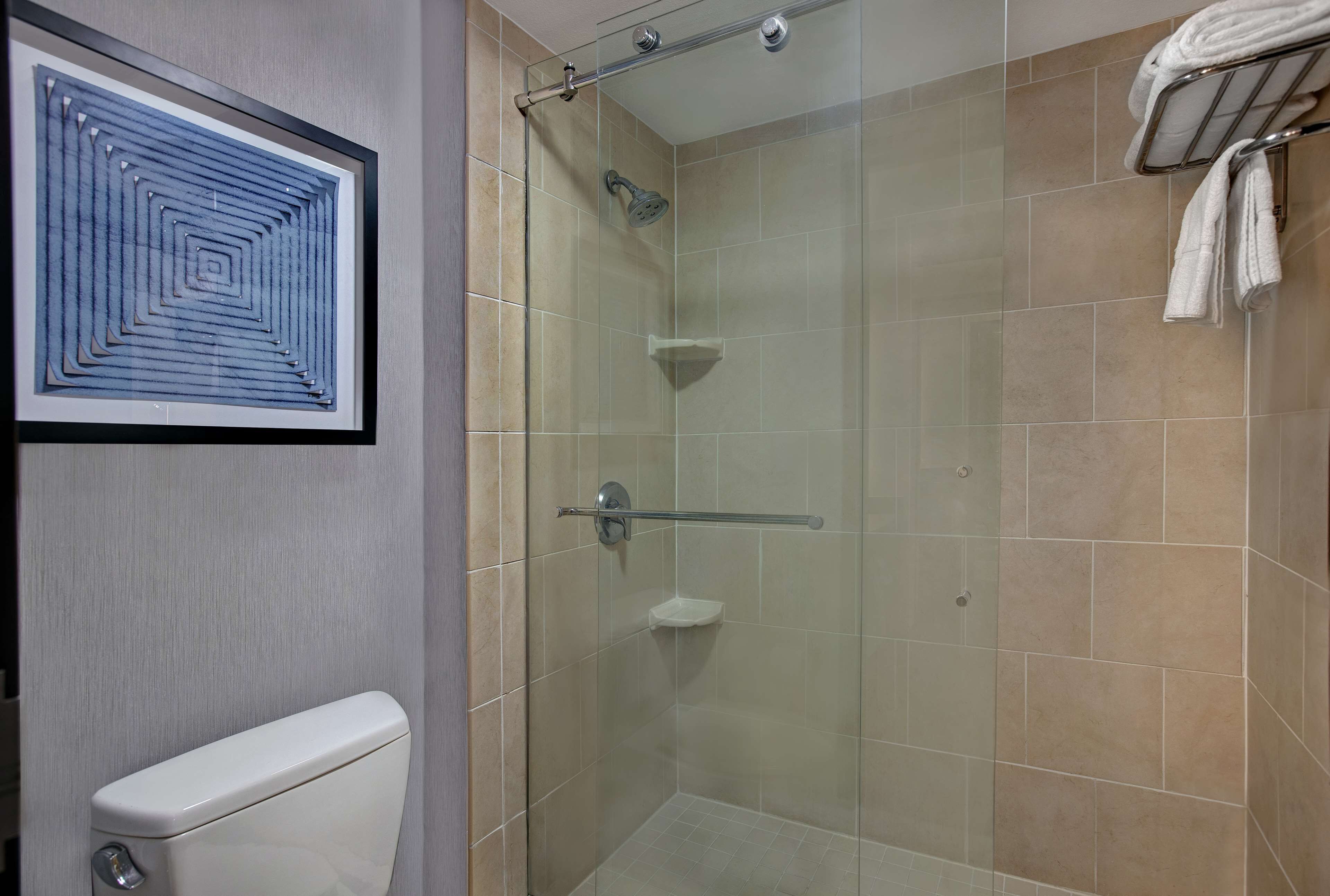 designer toiletries, hair dryer, towels