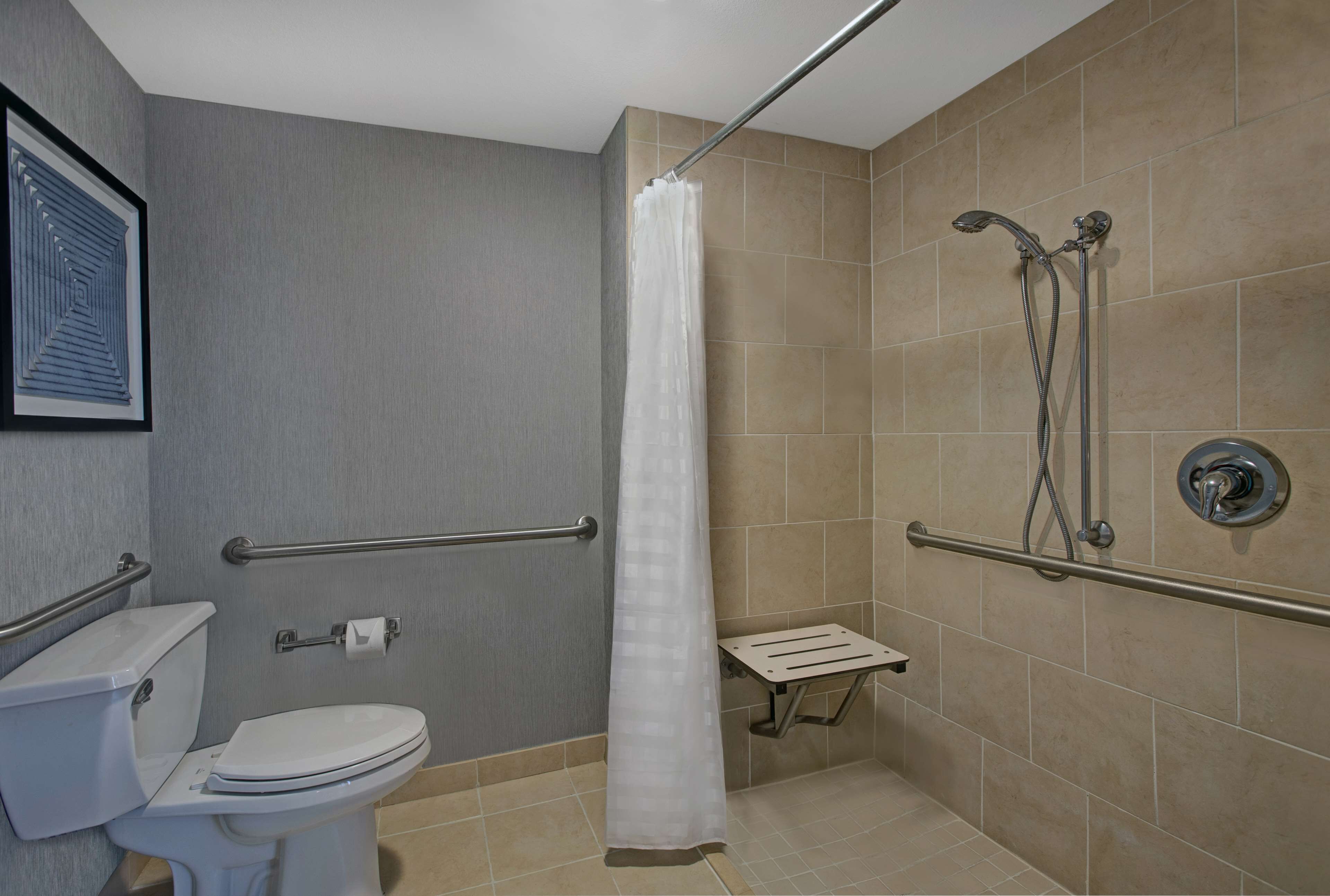 room, 1 king bed, mobility accessible | bathroom | designer toiletries, hair dryer, towels