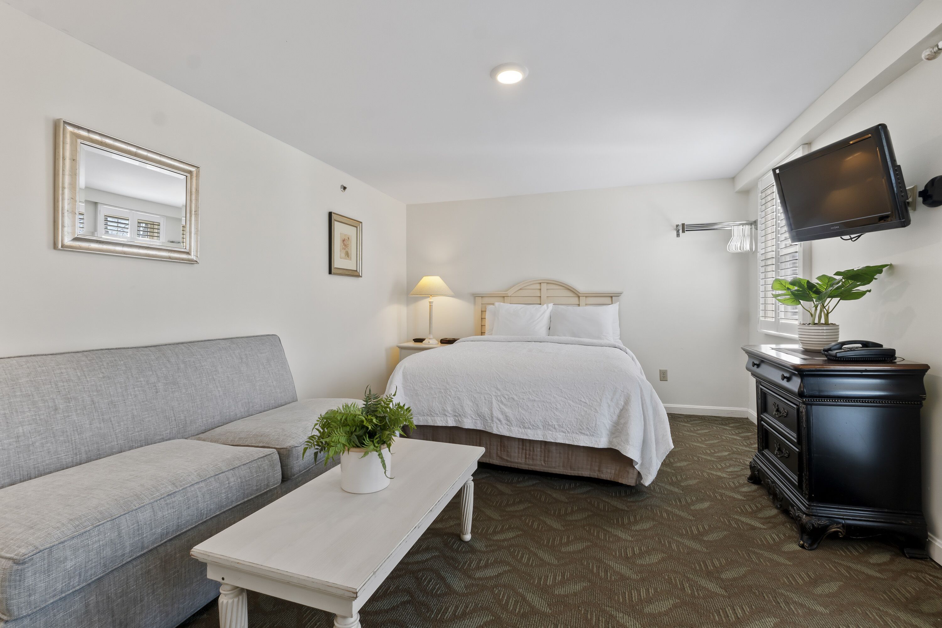 A bedroom with a bed, a sofa, a bedside table with a plant, a TV on the wall, and a dresser.