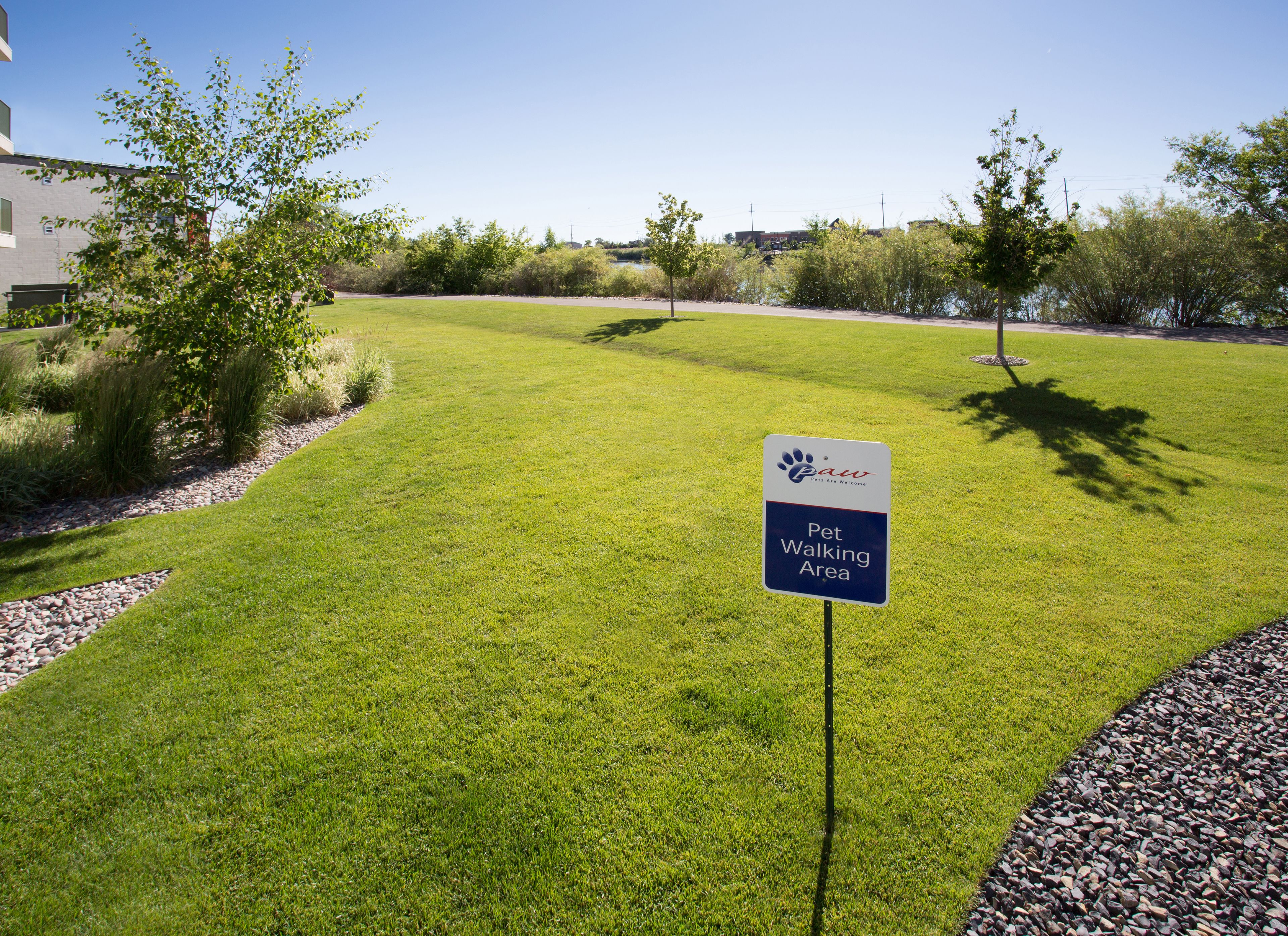 pet-friendly amenities