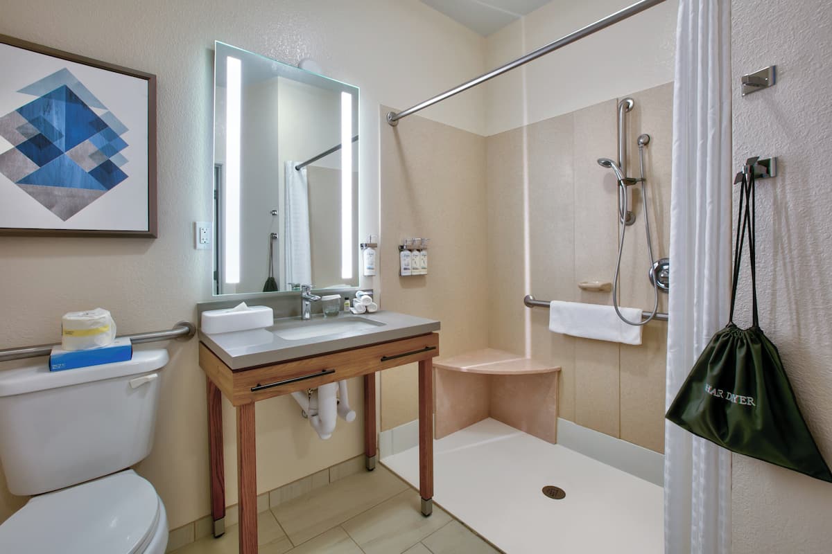 studio suite, 1 queen bed, accessible (communication, roll-in shower) | 1 bedroom, desk, blackout curtains, soundproofing