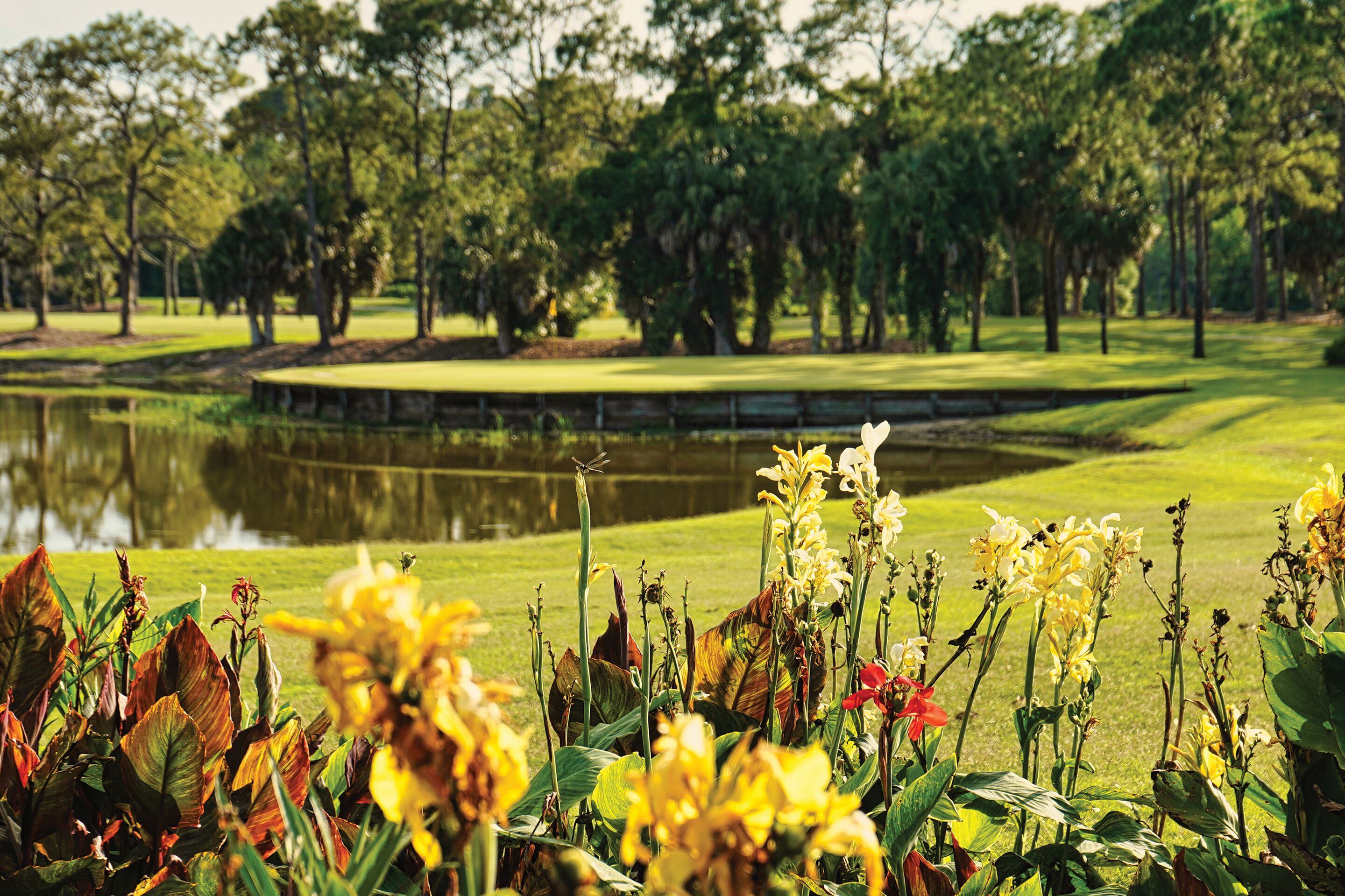 A golf course with a pond, surrounded by trees and various plants.
