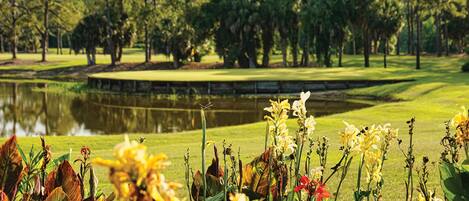 Un campo de golf con un estanque, rodeado de árboles y diversas plantas.