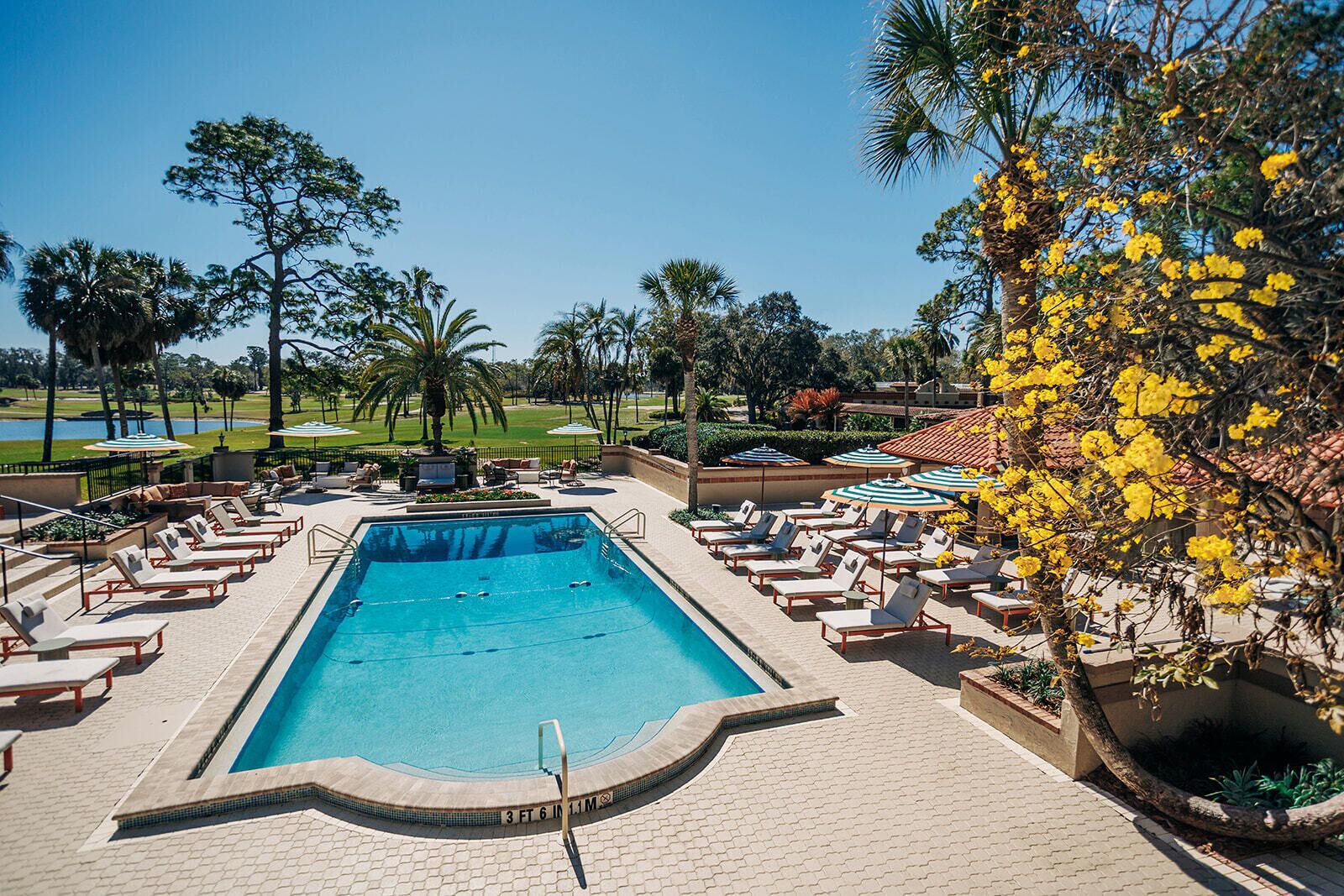 A swimming pool with lounge chairs and umbrellas, surrounded by palm trees and a golf course in the background.