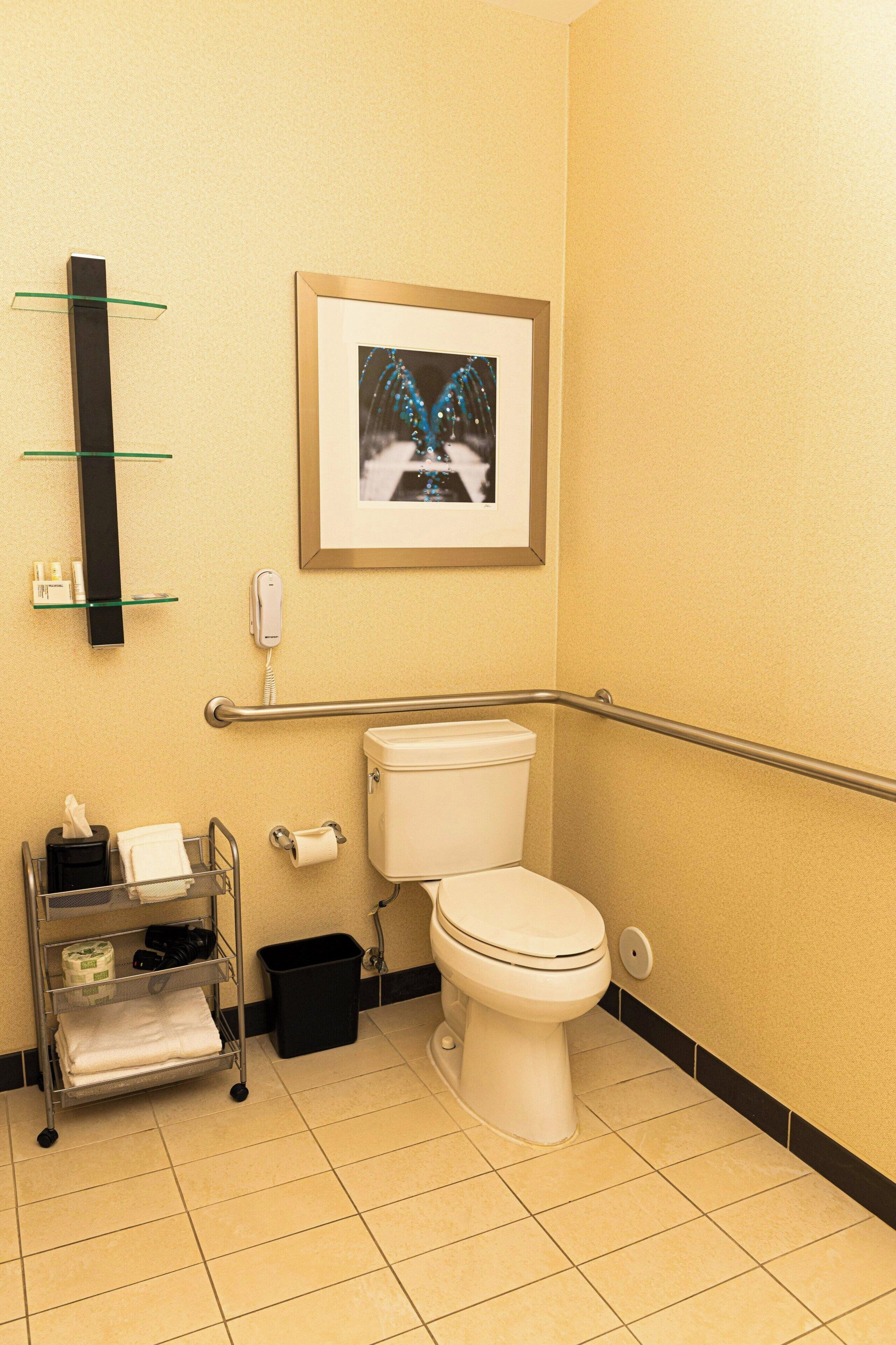 combined shower/bathtub, free toiletries, hair dryer, towels