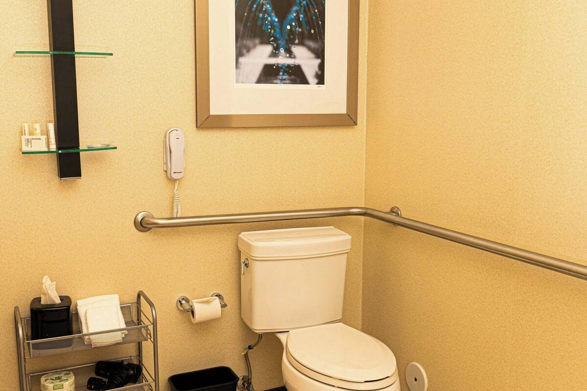 combined shower/bathtub, free toiletries, hair dryer, towels