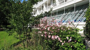 Een meerlaags hotel met balkons, omgeven door weelderige begroeiing en bloeiende planten.